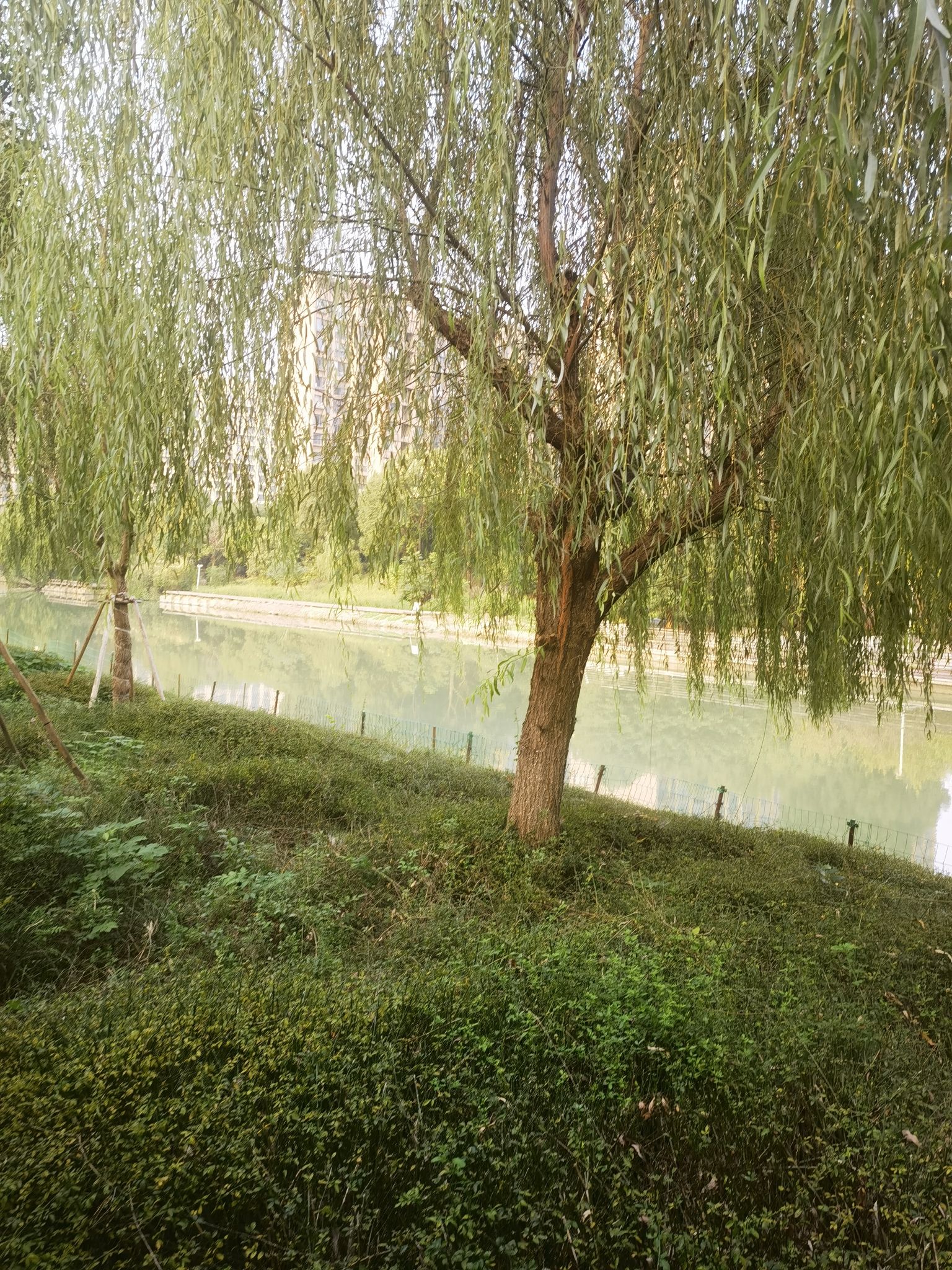 体育公园旅行图片 2
