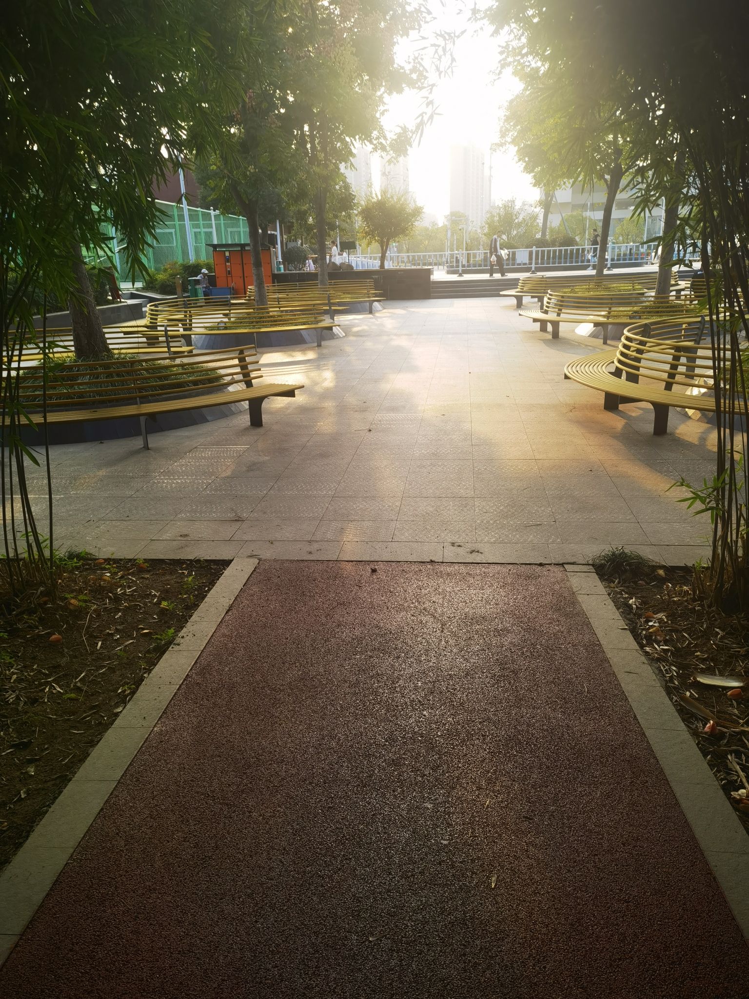 体育公园旅行图片 1