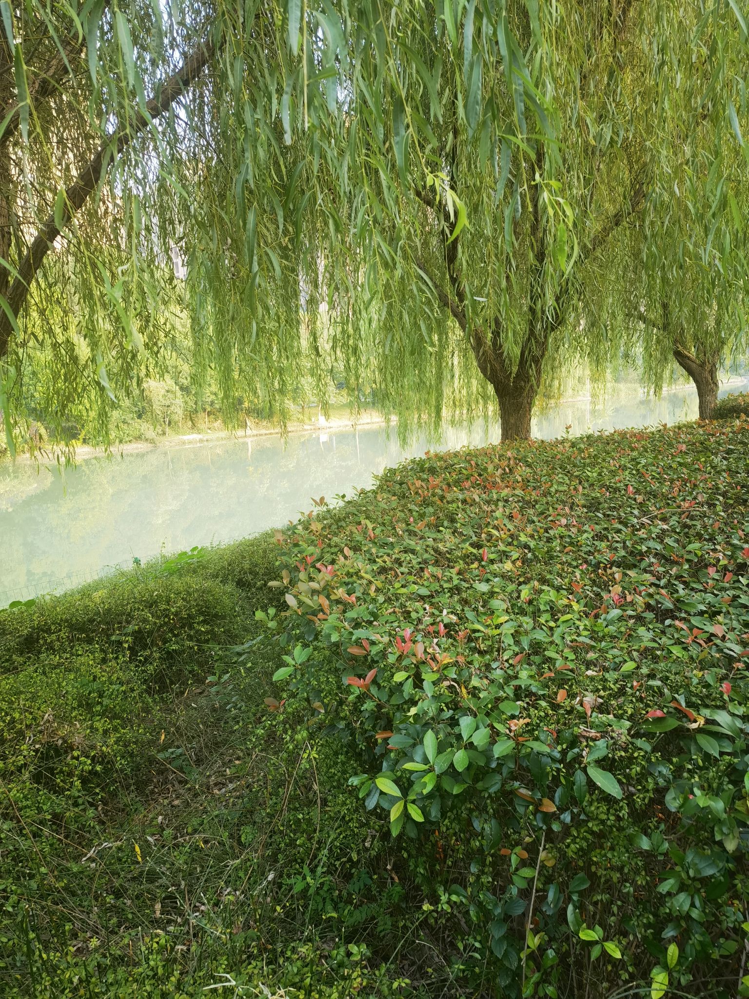 体育公园旅行图片 3