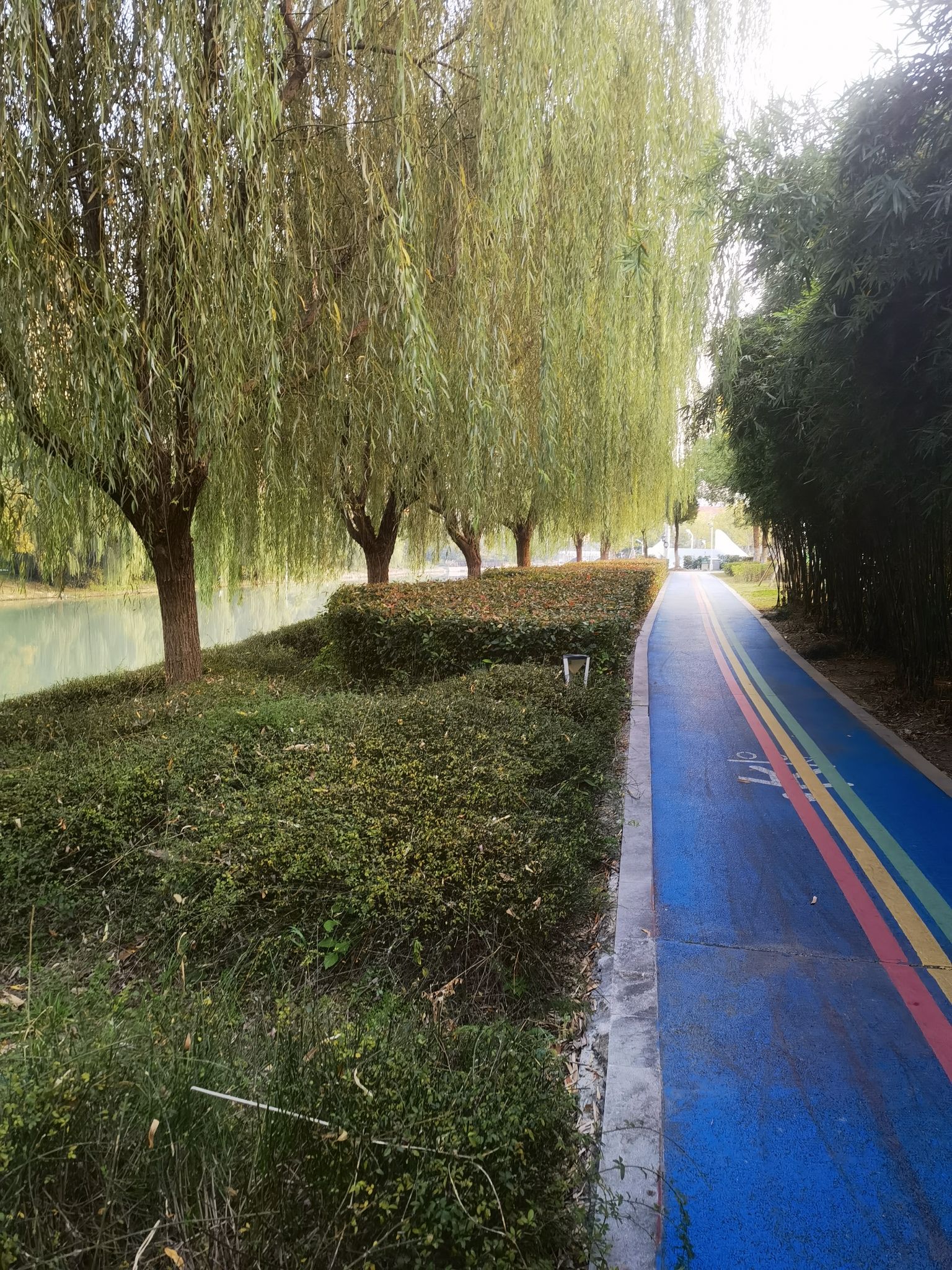 体育公园旅行图片 3