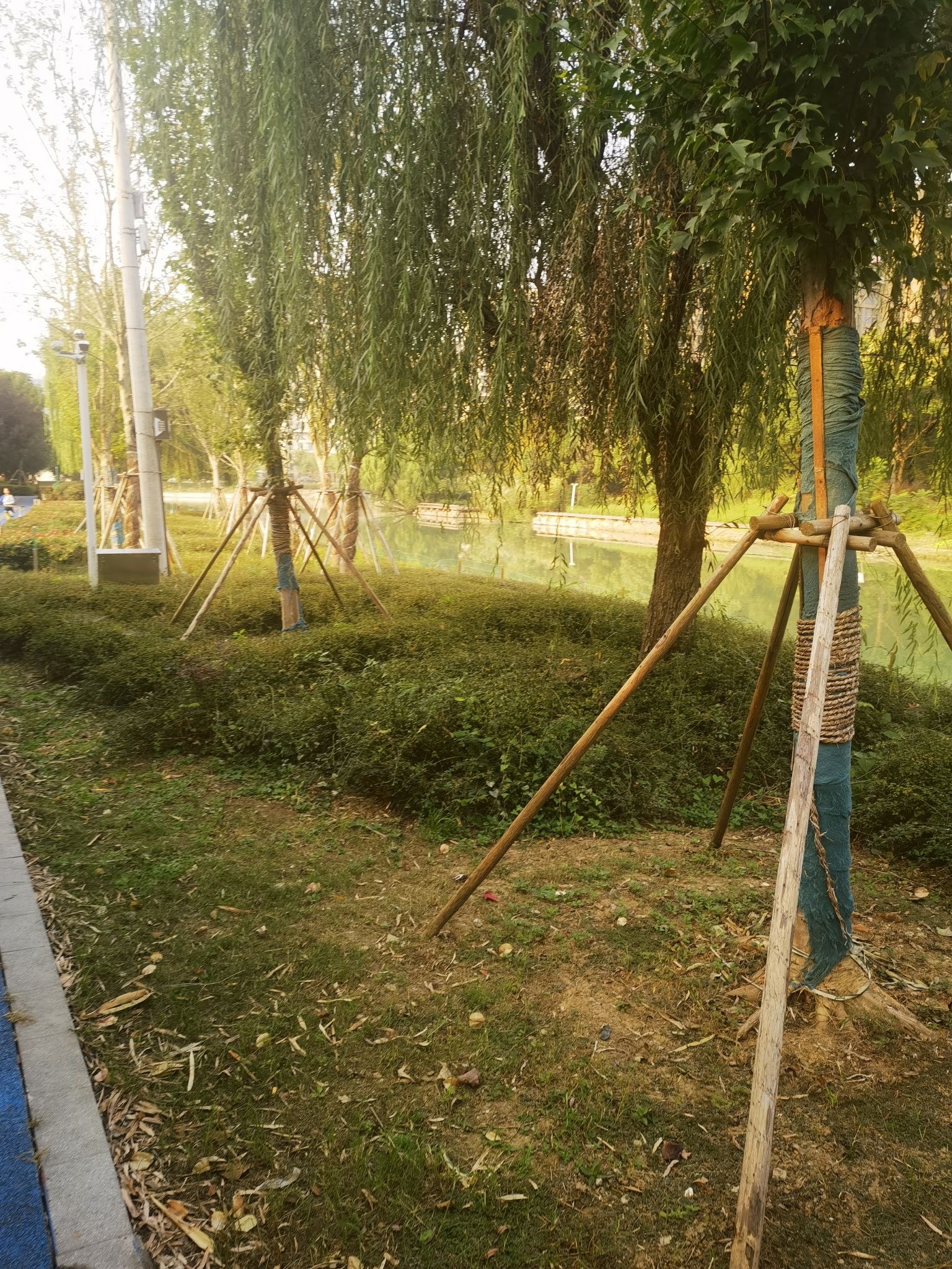体育公园旅行图片 2