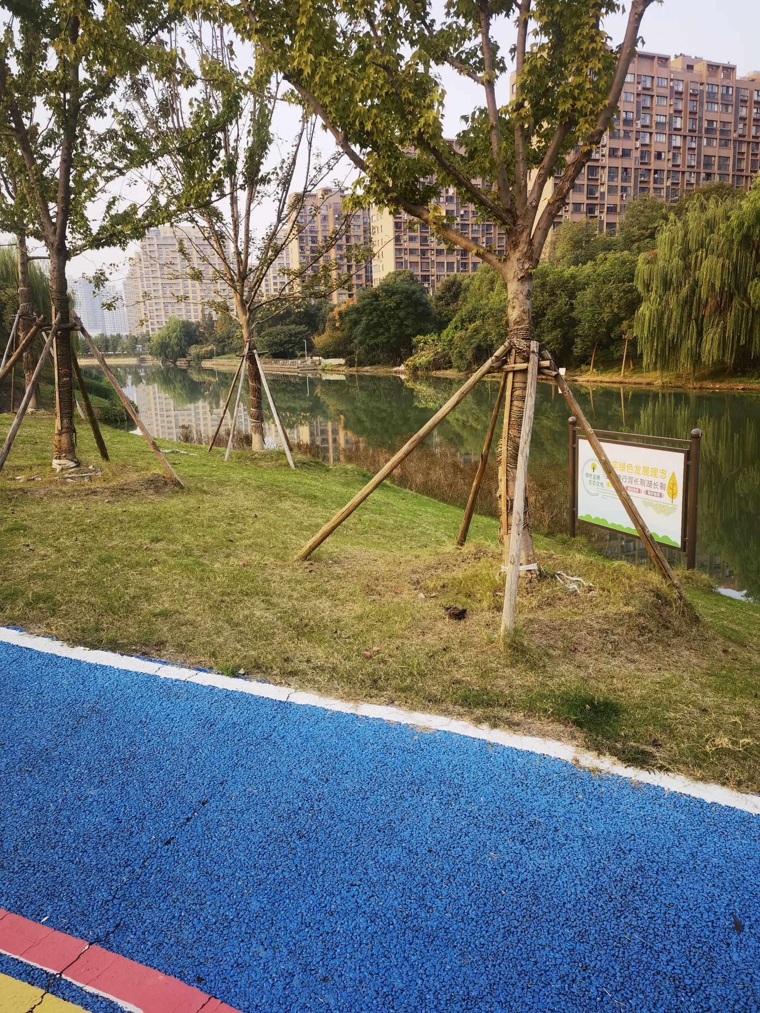 体育公园旅行图片 1