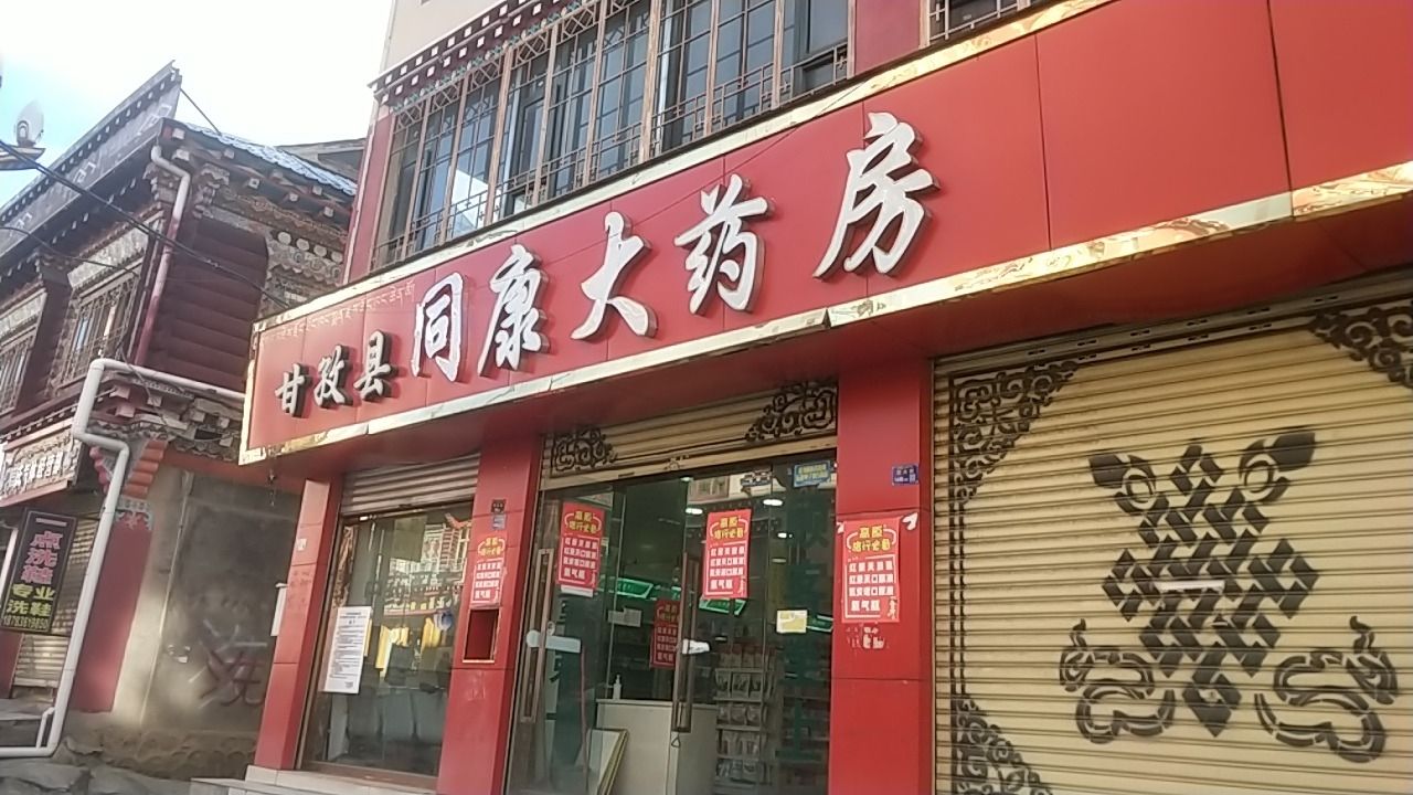 甘孜县同康大药房(东大街店)
