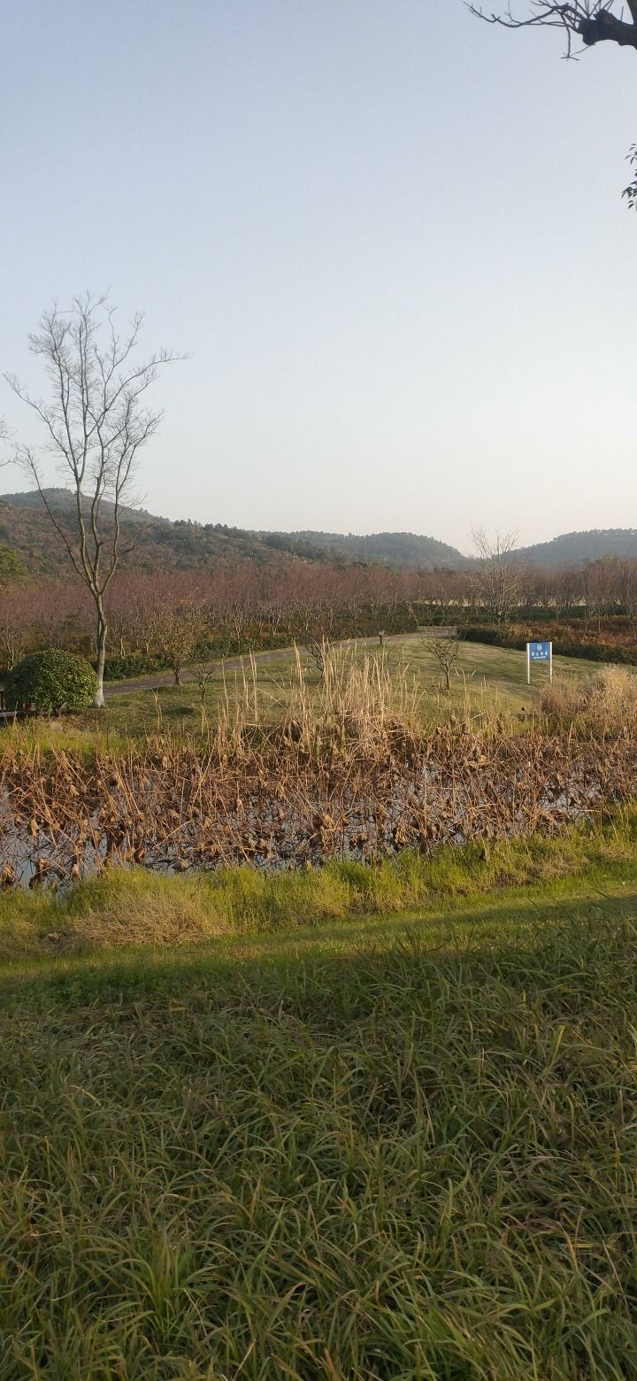 龙泉山郊野公园