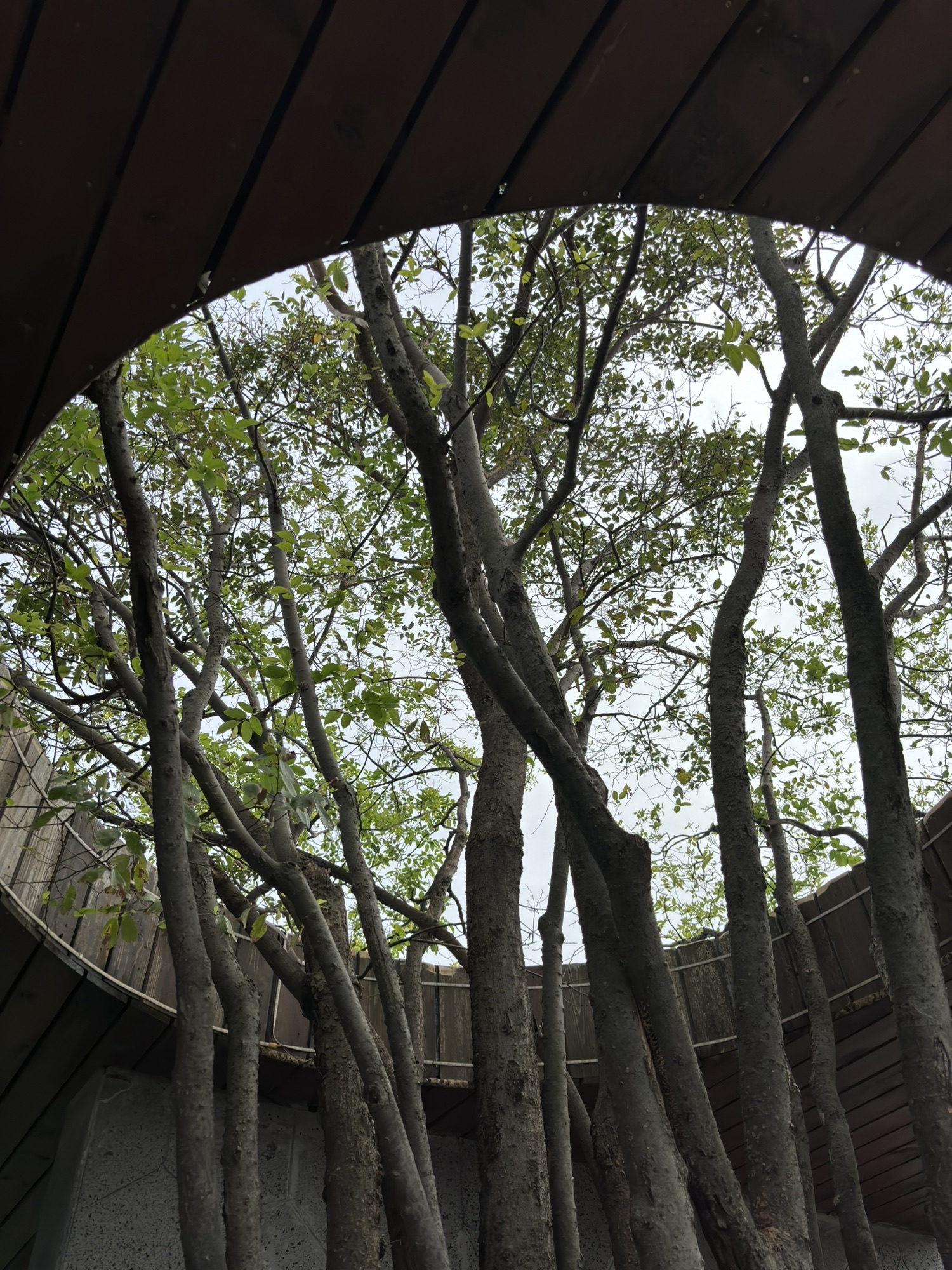 龙泉山郊野公园旅行图片 1