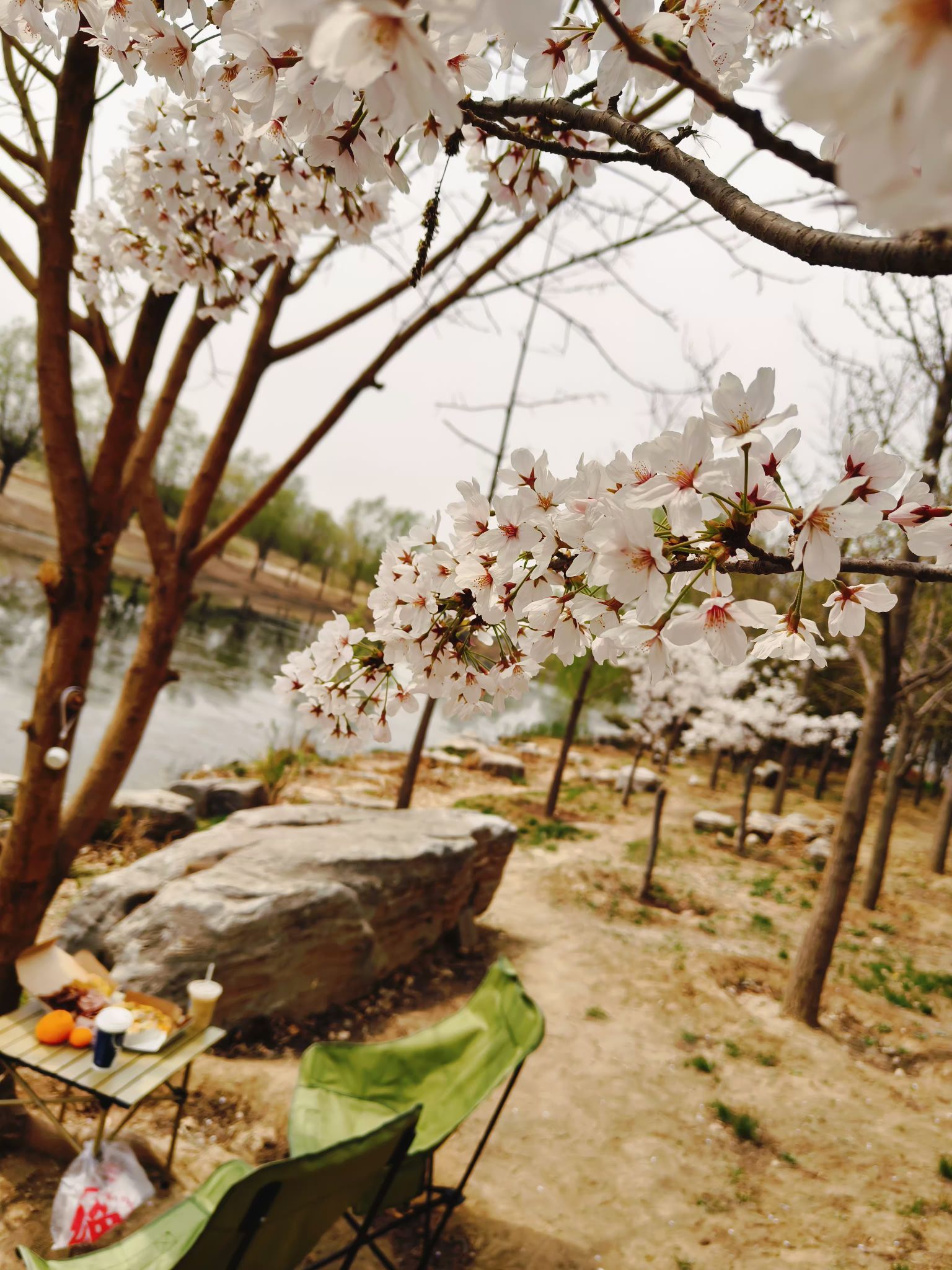 马家湾湿地公园旅行图片 2