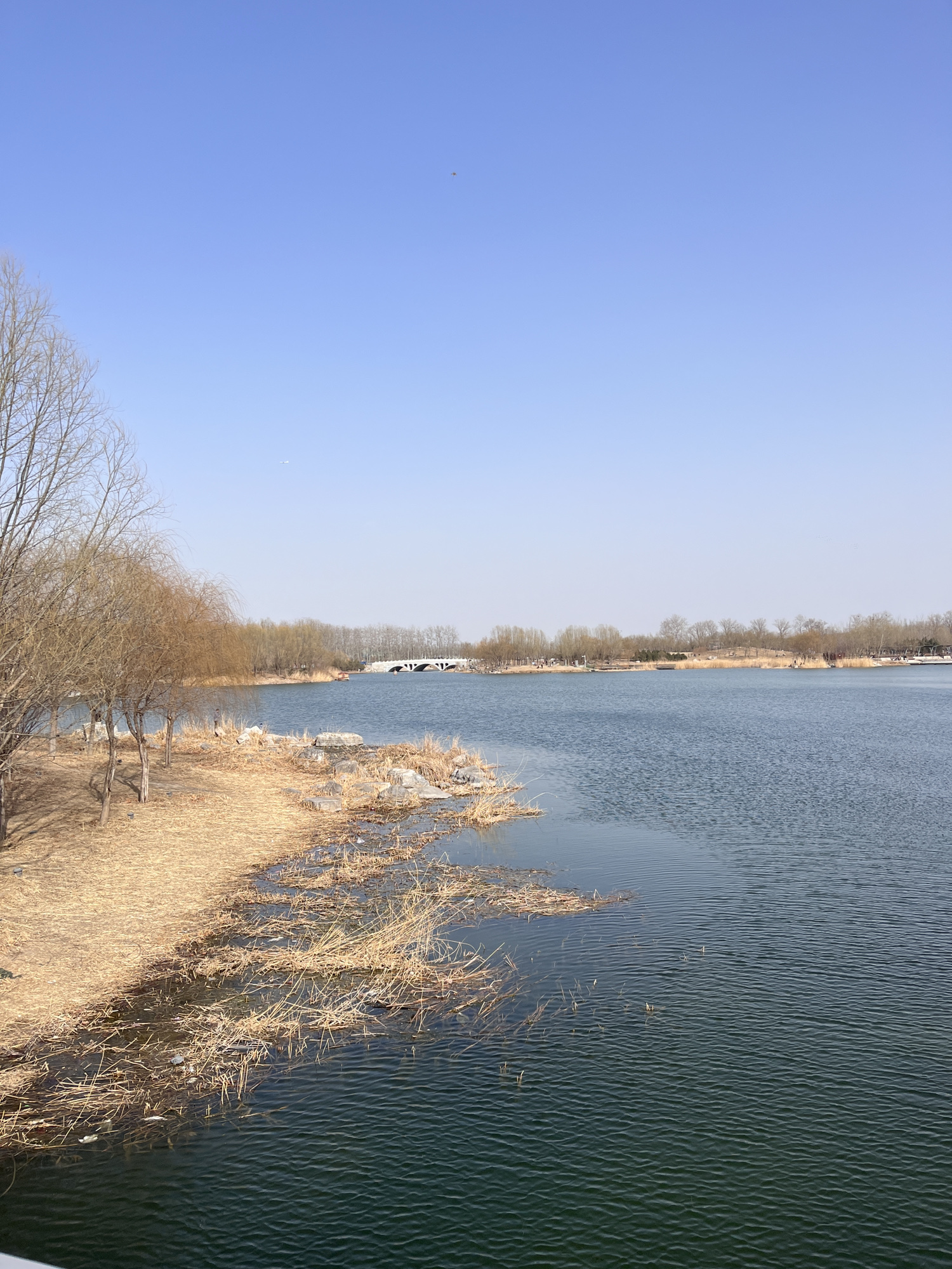 马家湾湿地公园旅行图片 2
