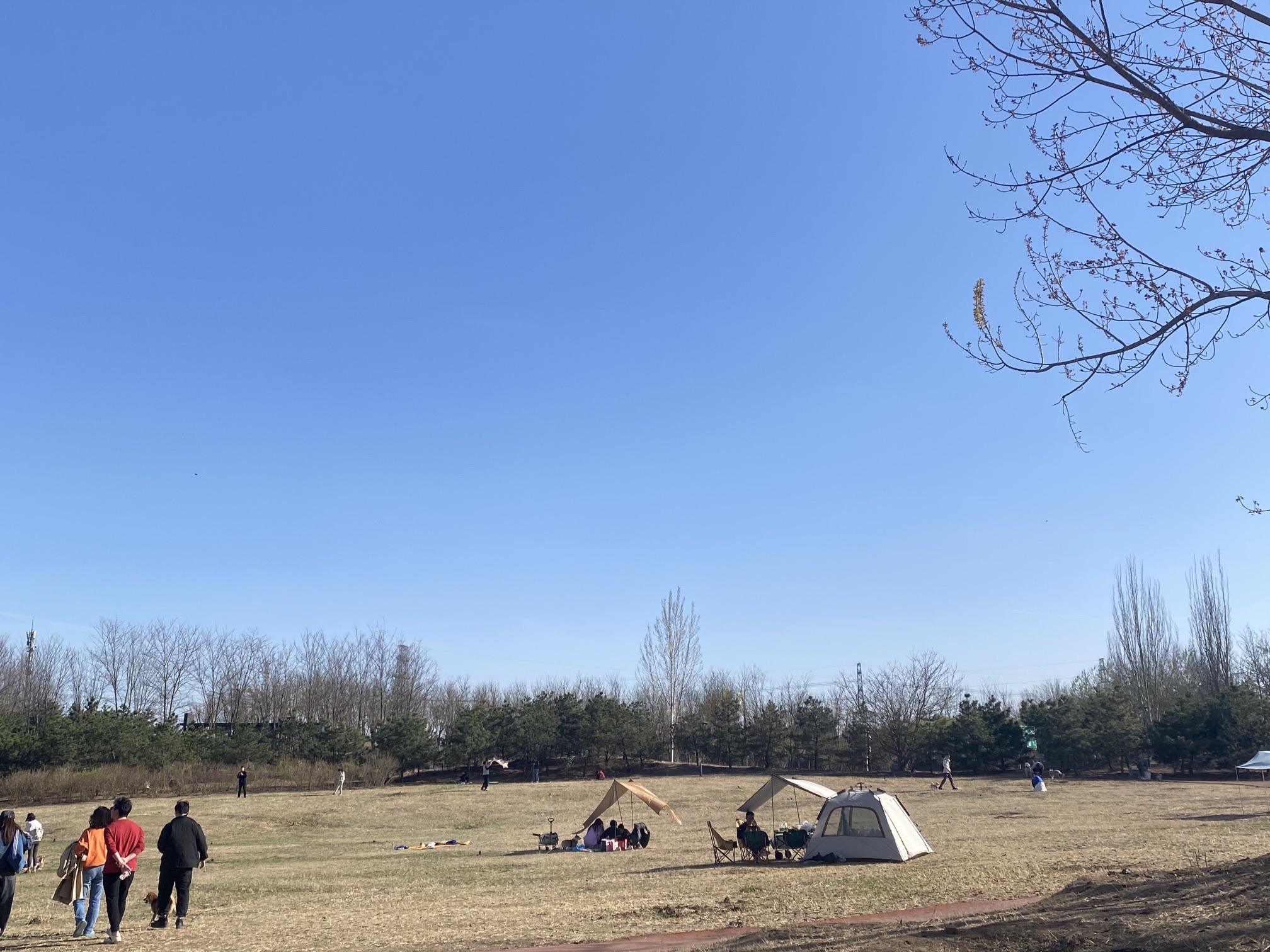 马家湾湿地公园旅行图片 2