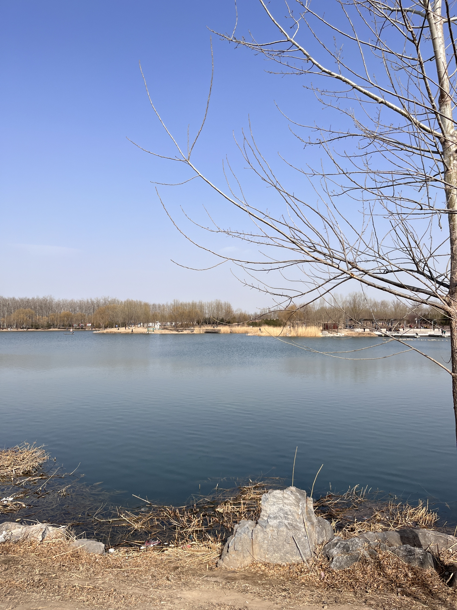 马家湾湿地公园旅行图片 1