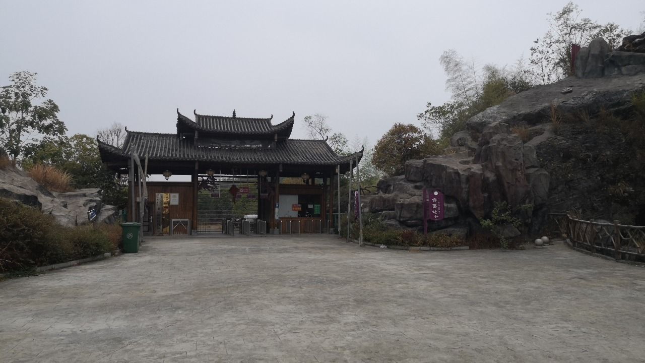 嗨花弄旅行图片 1