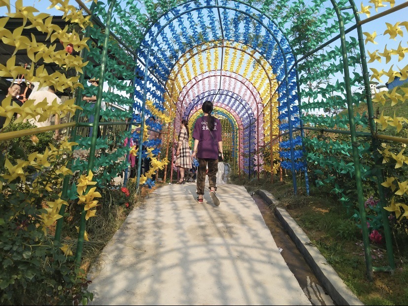 嗨花弄旅行图片 3