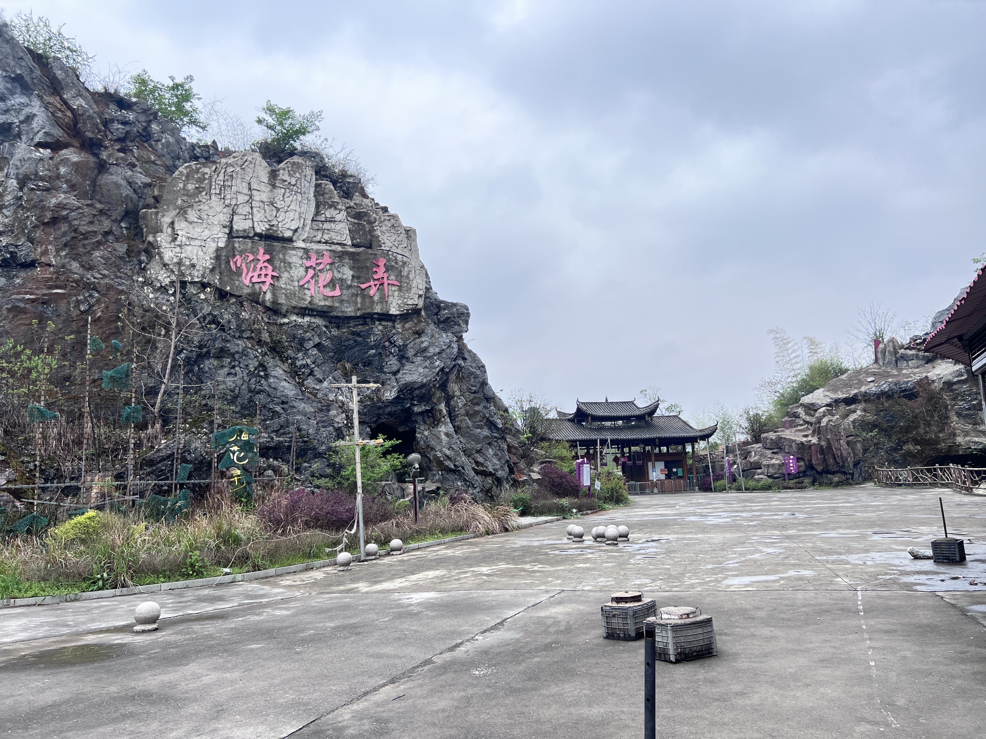 嗨花弄旅行图片 1