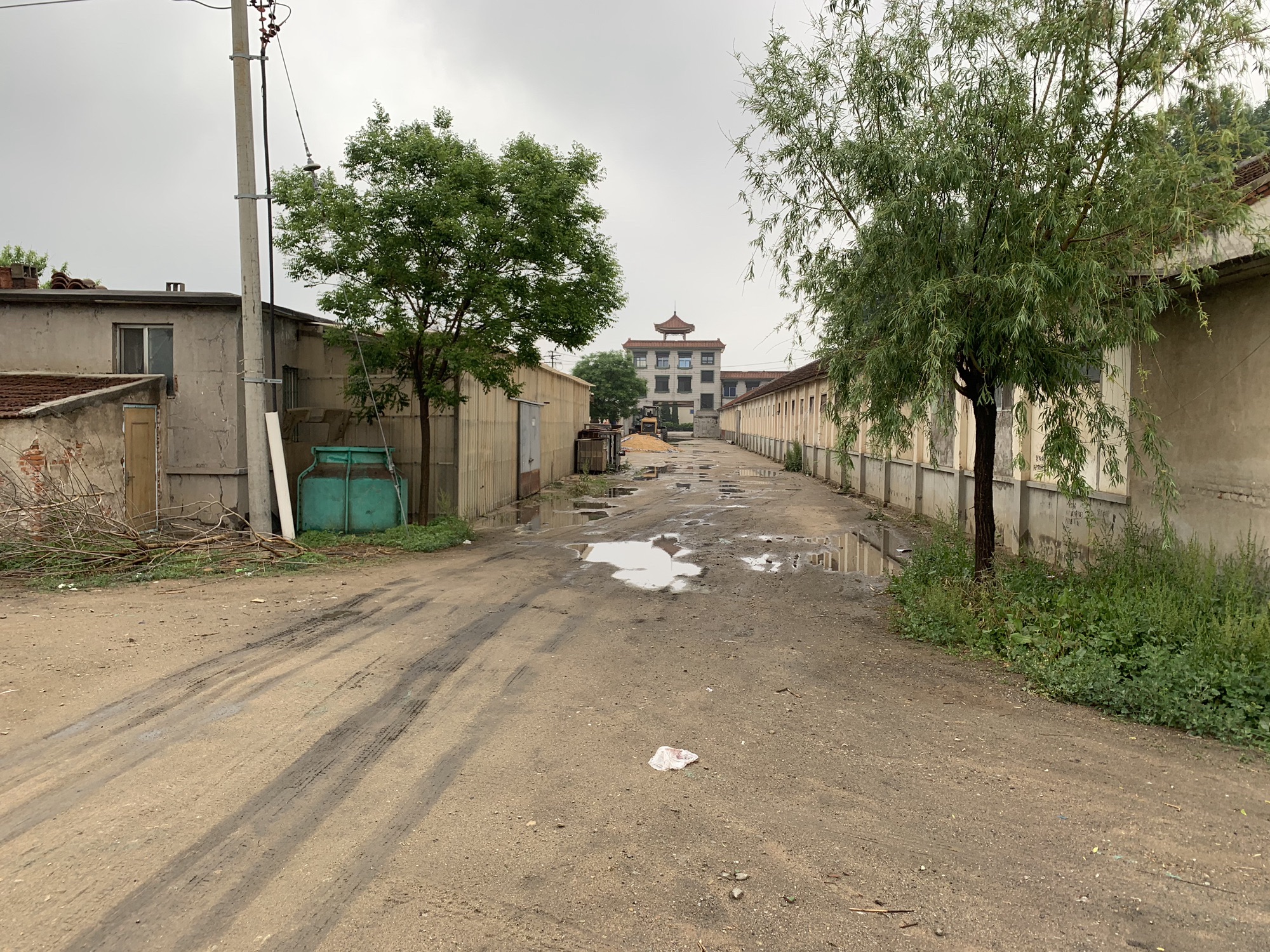 徐乡古城旅行图片 3