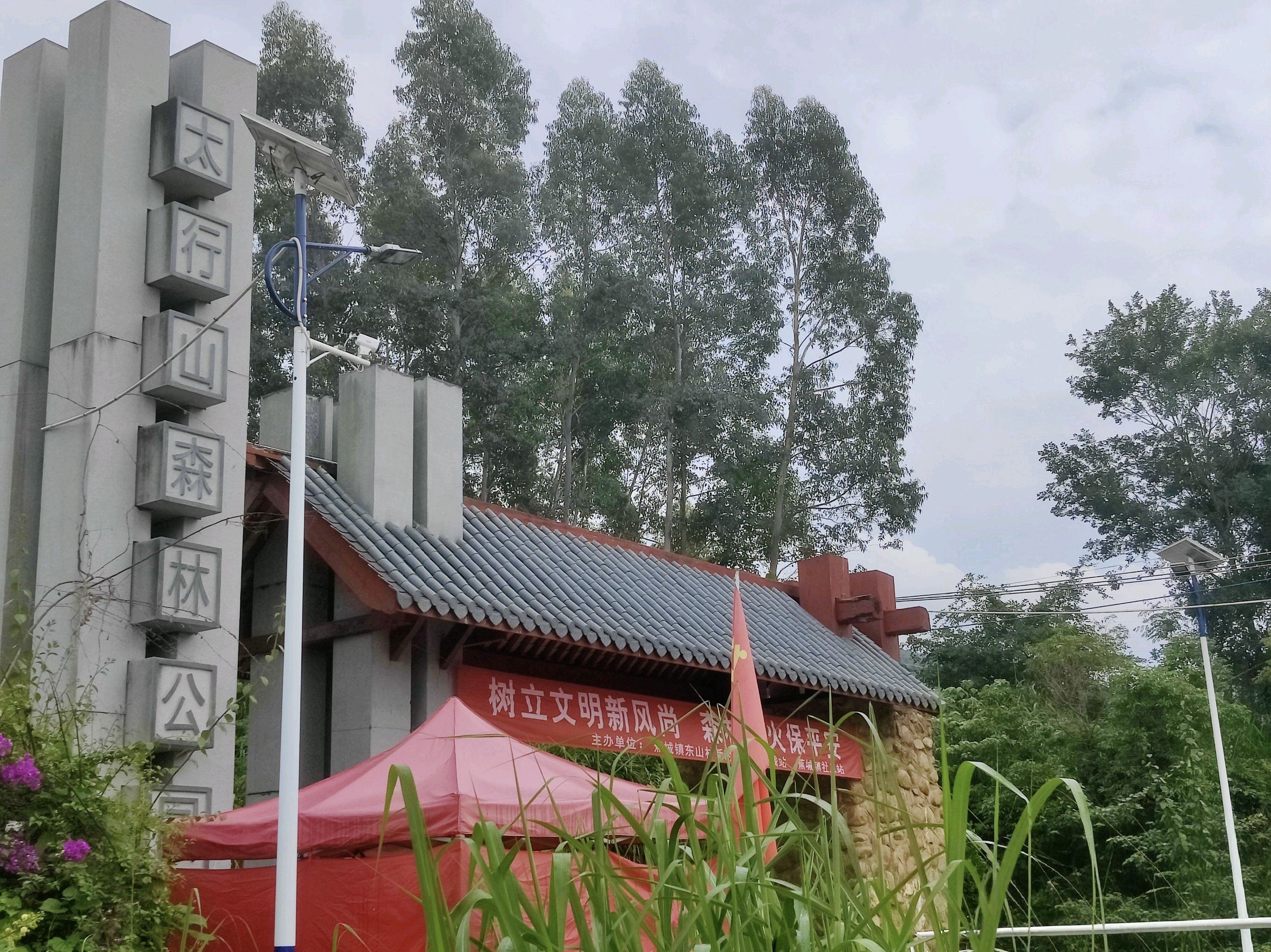 太行山森林公园旅行图片 1