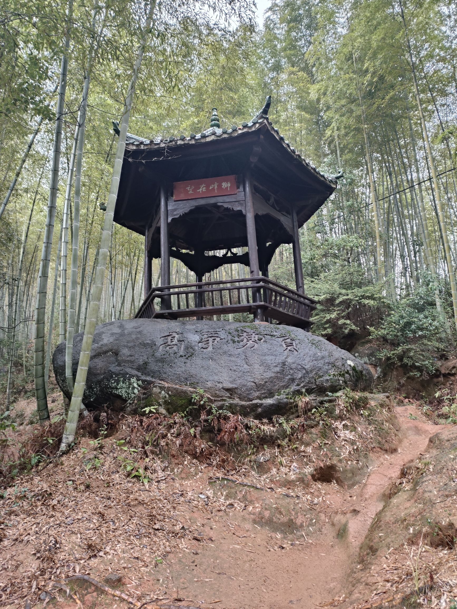 狮峰在望
