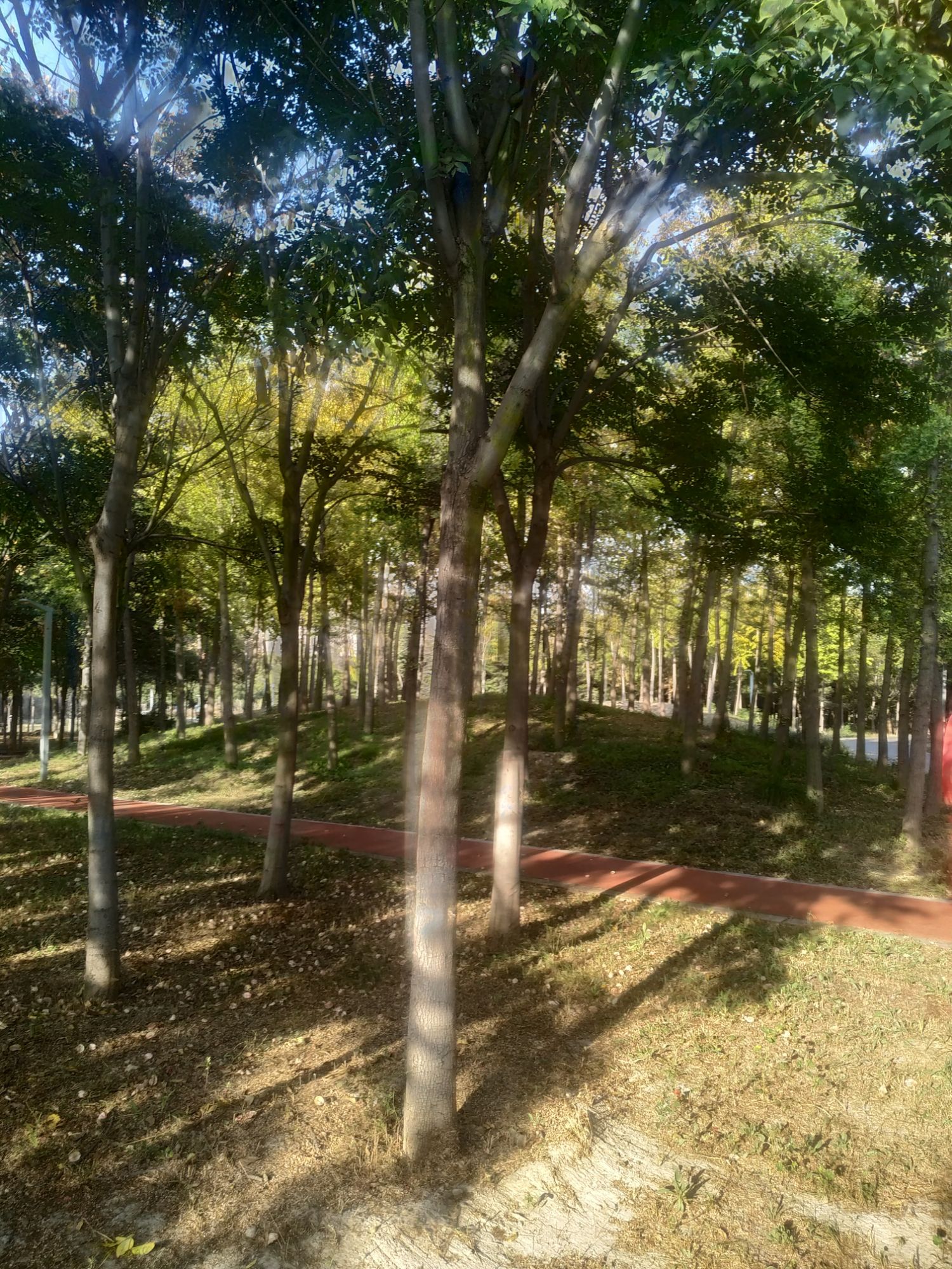 淄博市高新区植物园旅行图片 3