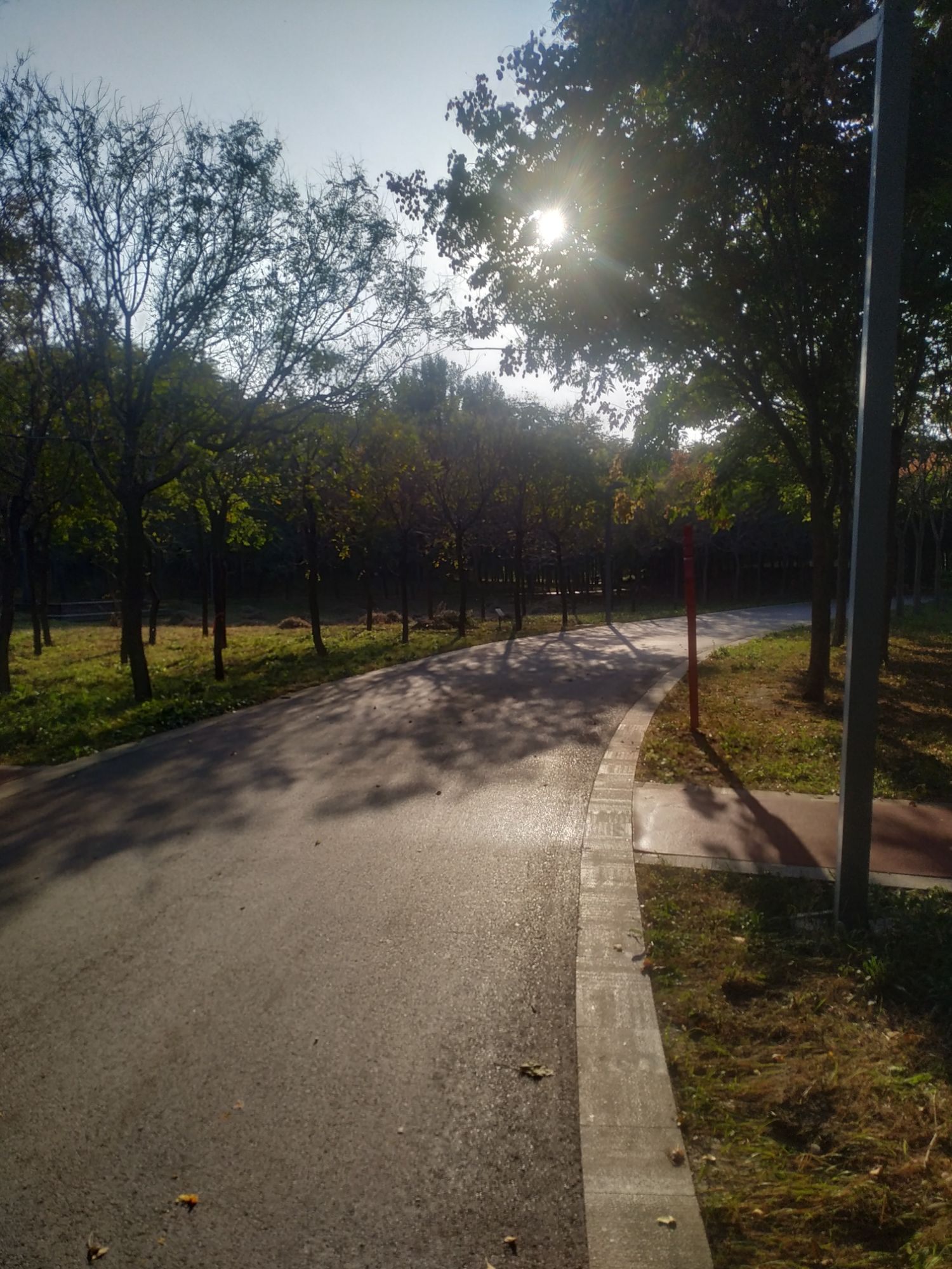淄博市高新区植物园旅行图片 1