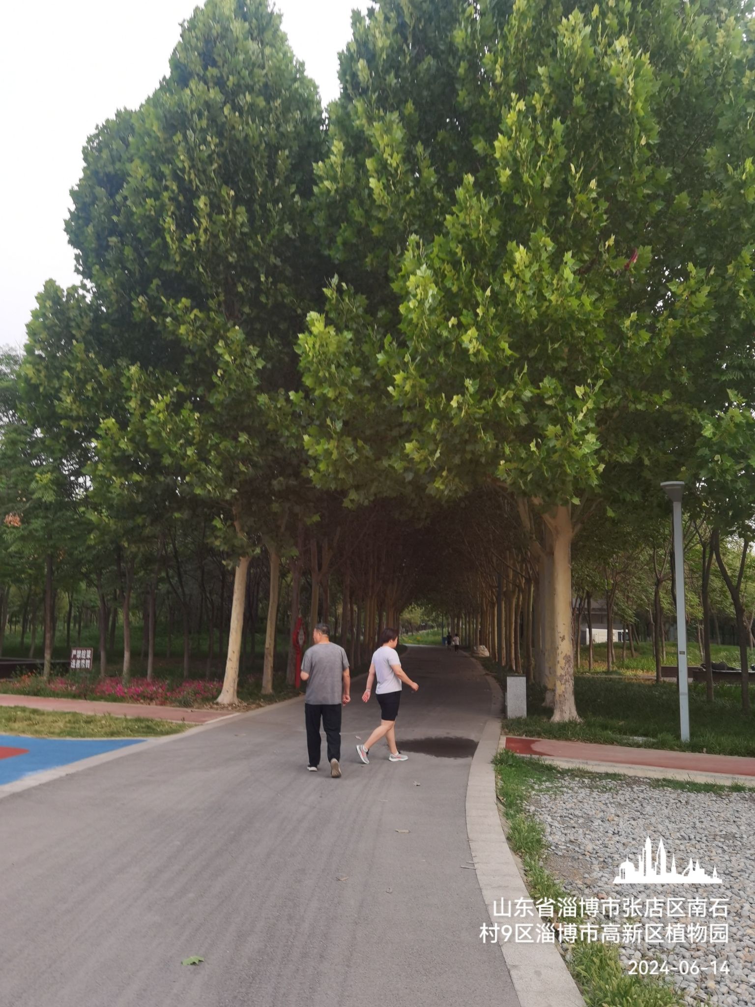淄博市高新区植物园旅行图片 3