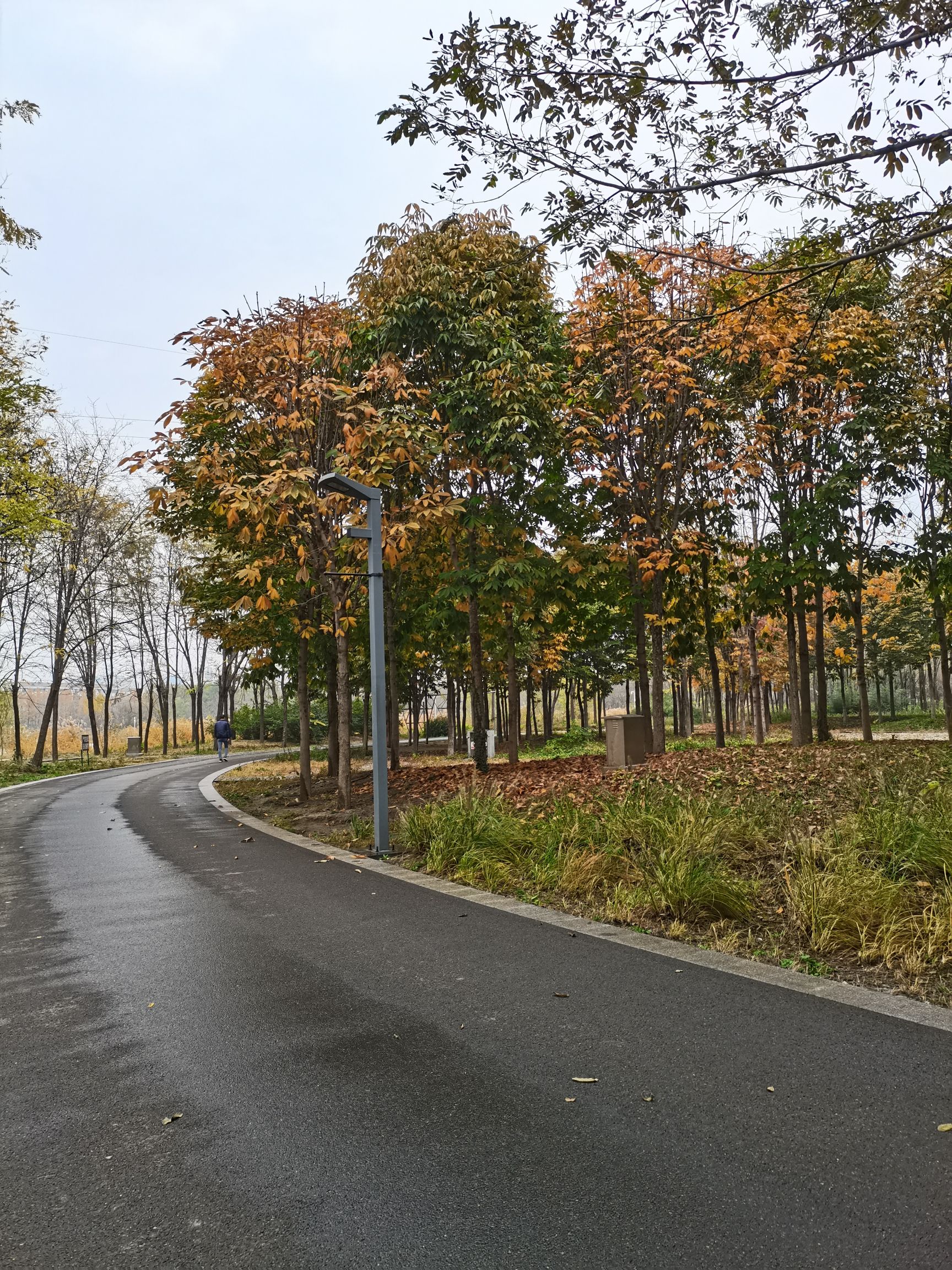 淄博市高新区植物园旅行图片 3