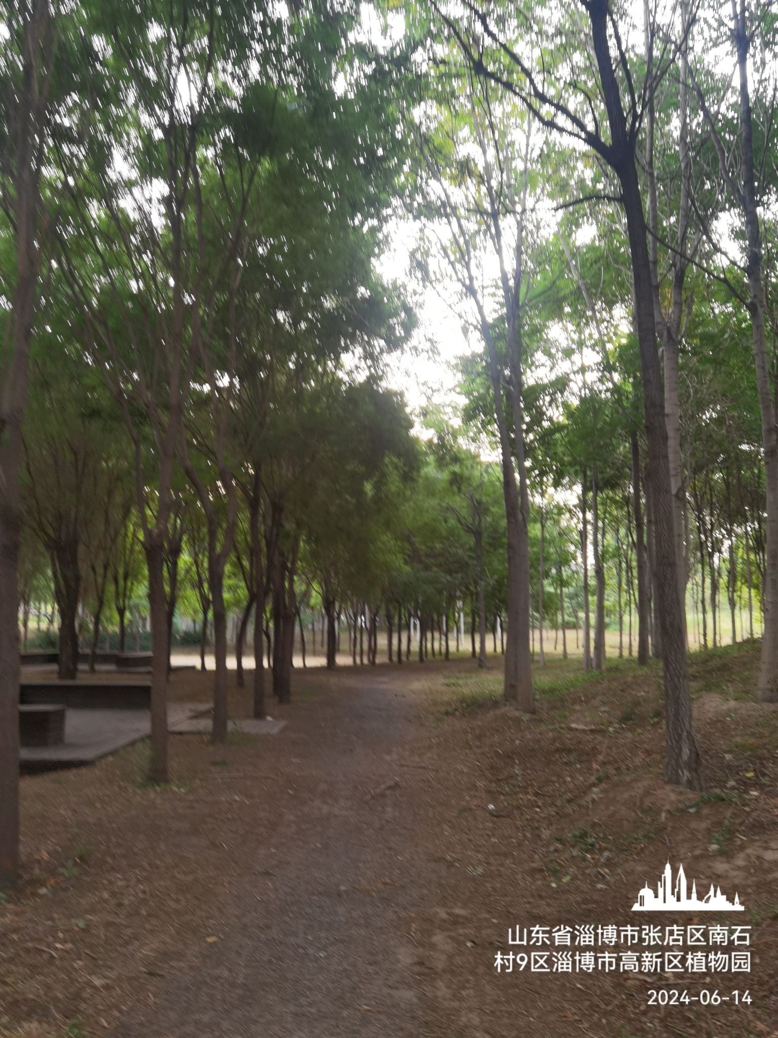 淄博市高新区植物园旅行图片 2