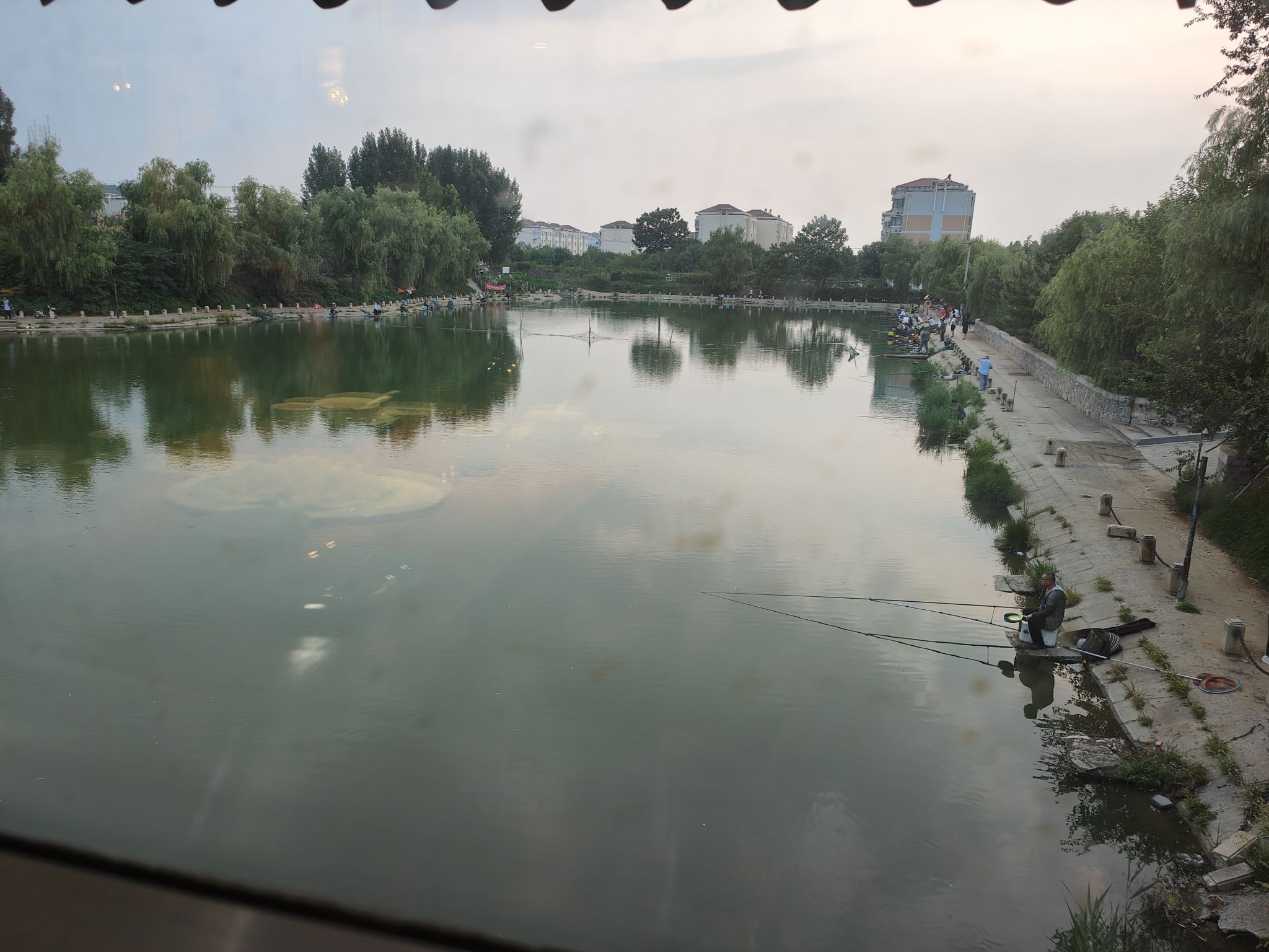 淄博市高新区植物园旅行图片 3