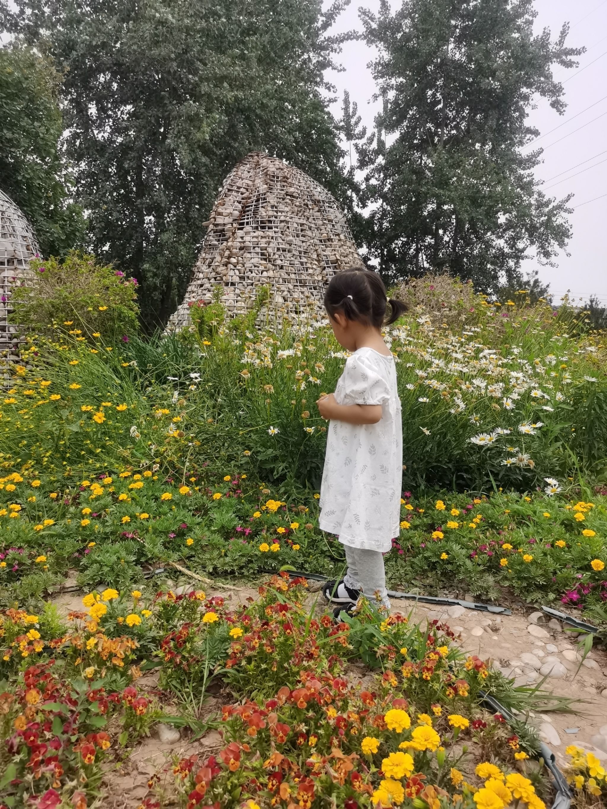 淄博市高新区植物园旅行图片 1