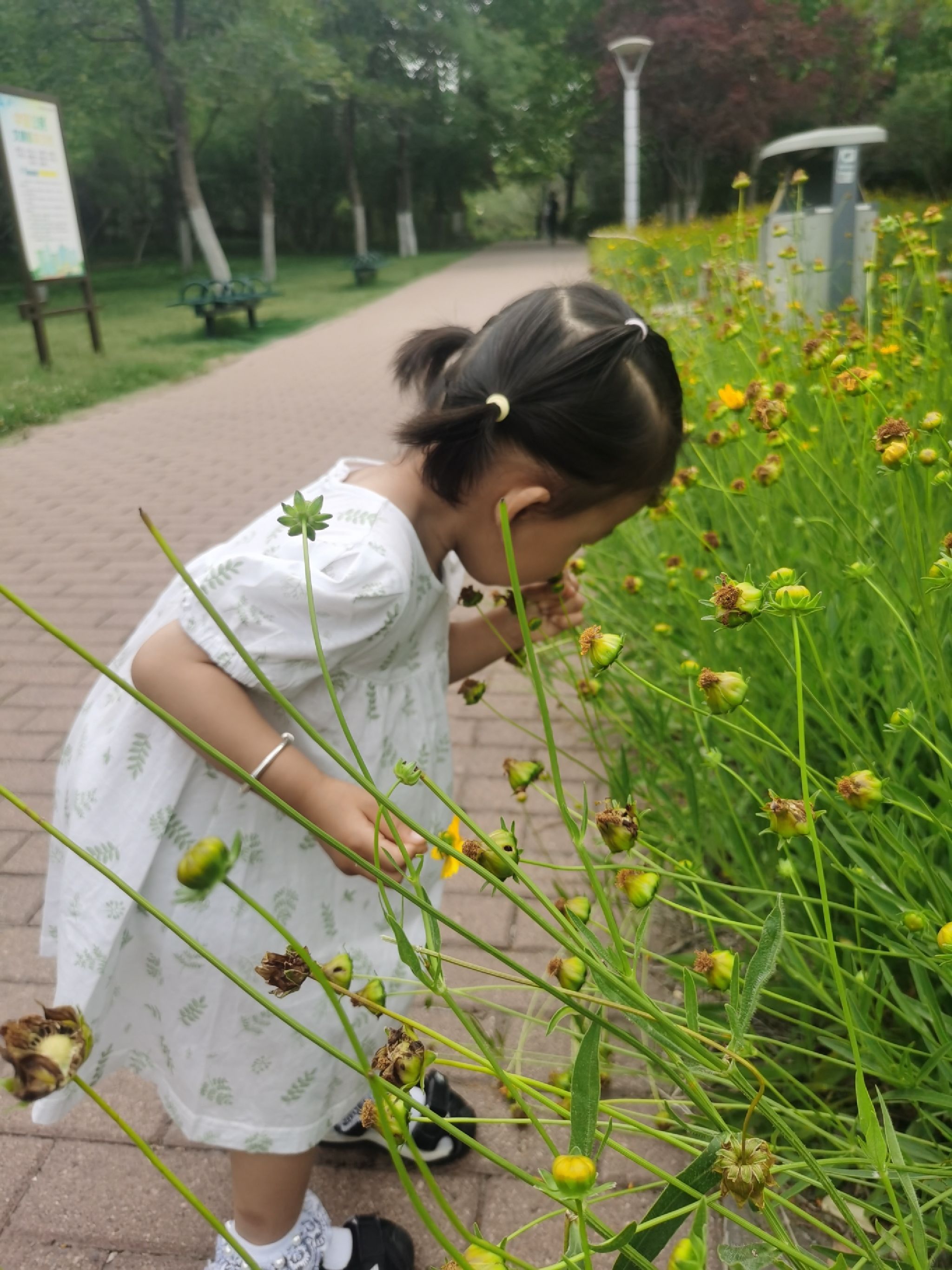 淄博市高新区植物园旅行图片 2