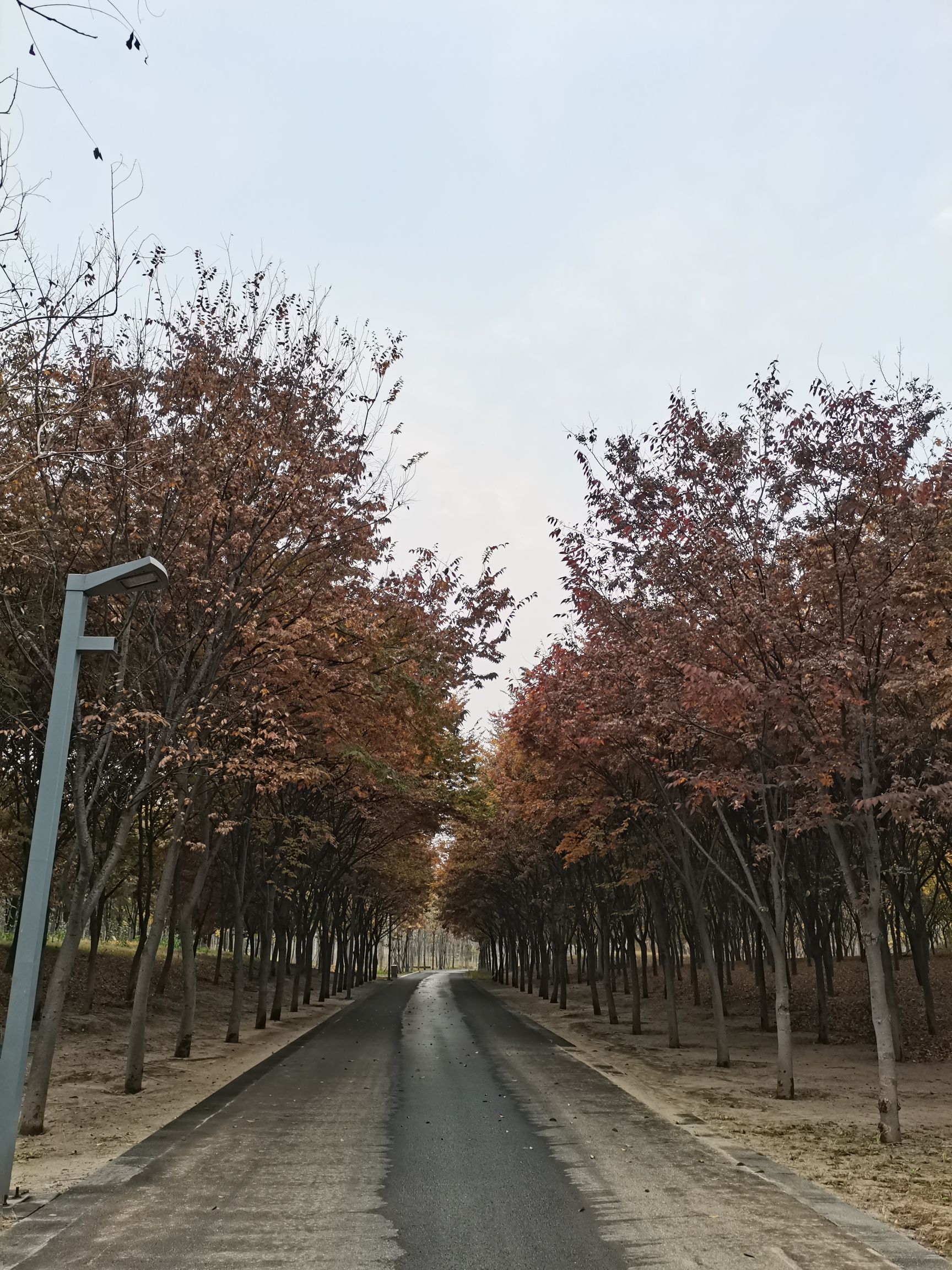 淄博市高新区植物园旅行图片 2