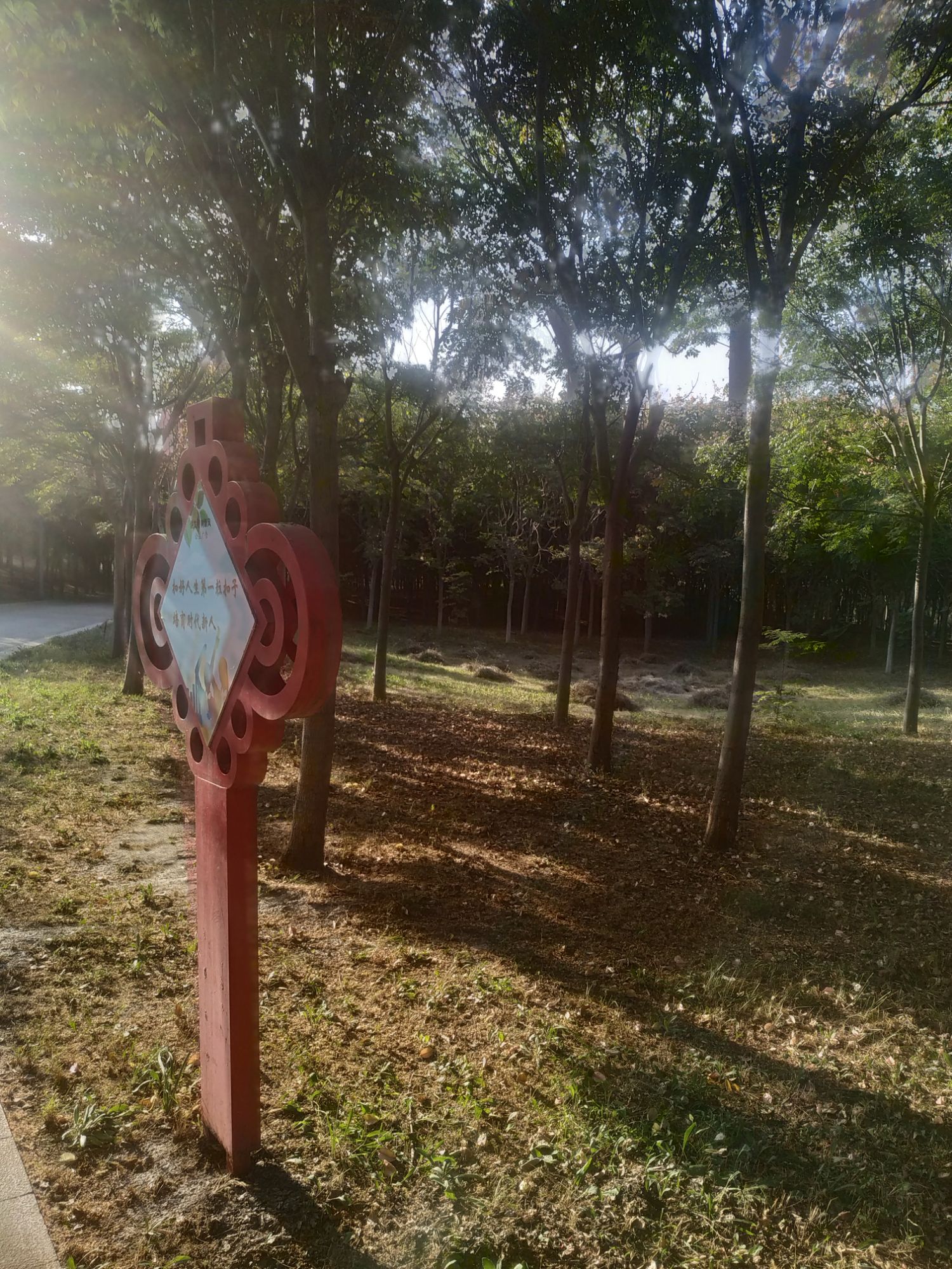 淄博市高新区植物园旅行图片 2
