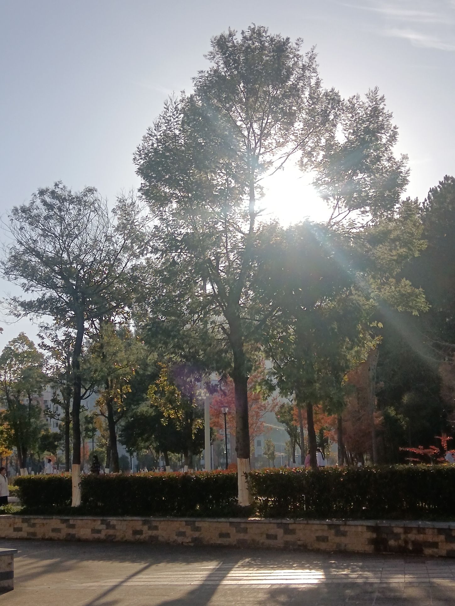 黔南民族幼儿师范高等专科学校(新校区)