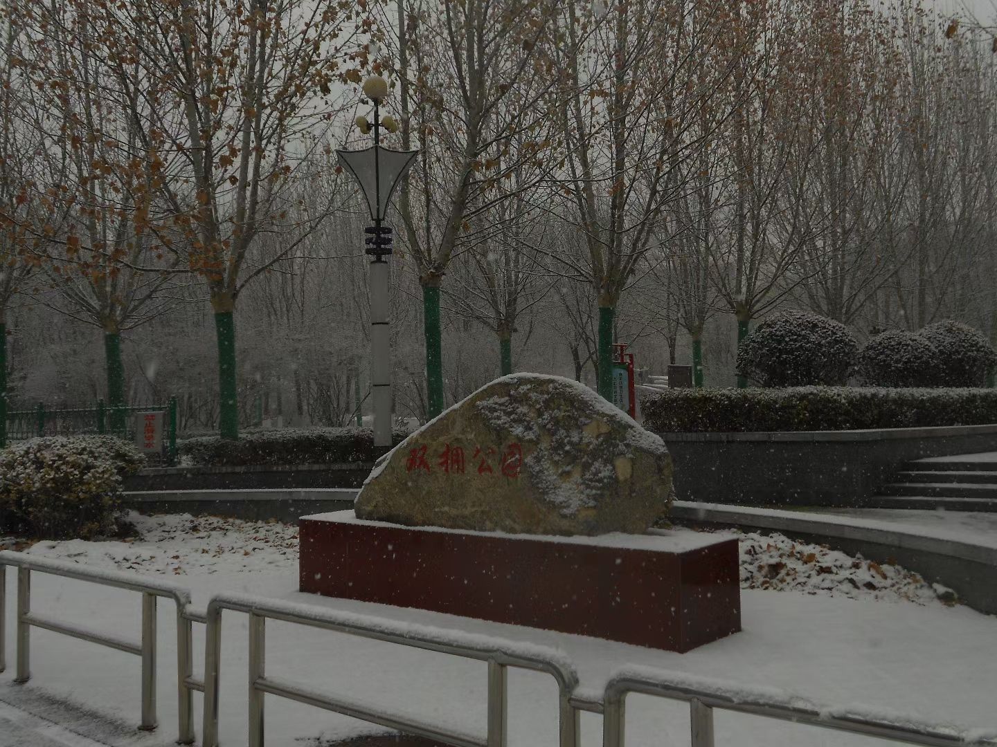 春曦公园旅行图片 1