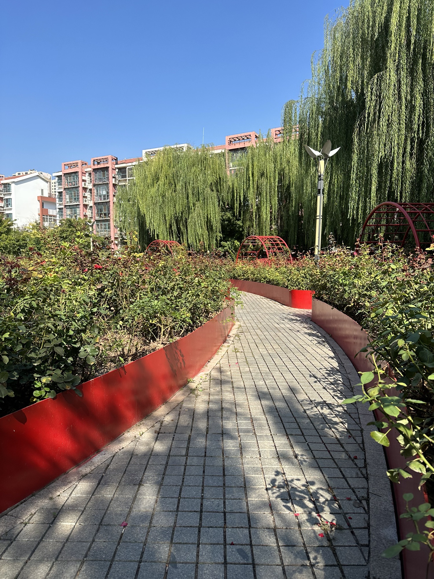 春曦公园旅行图片 3