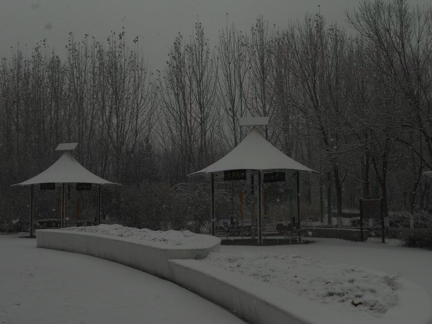 春曦公园旅行图片 2