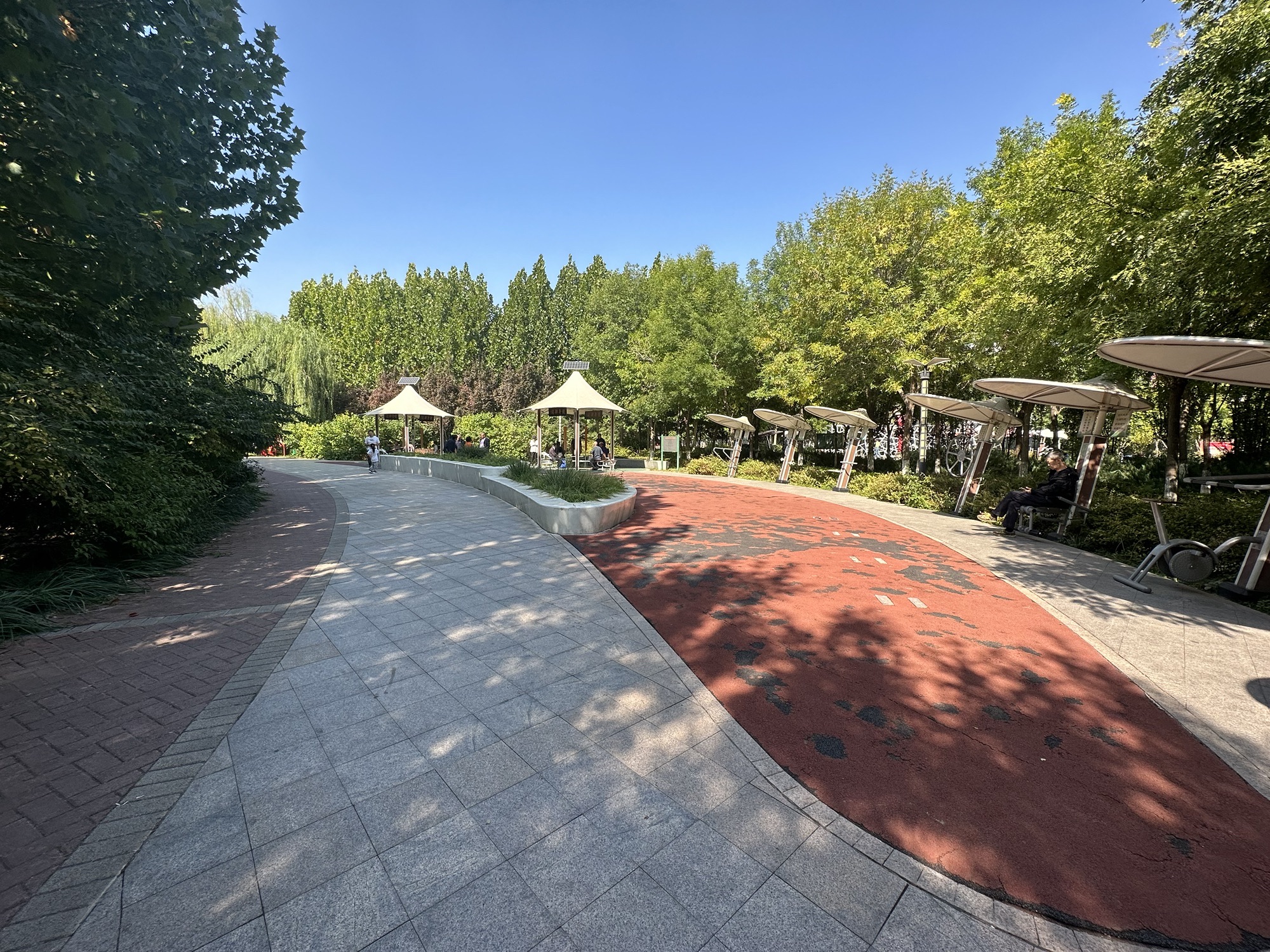 春曦公园旅行图片 2