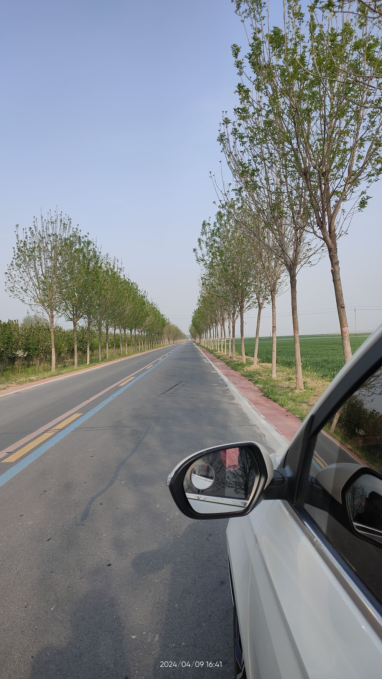黄河滩游览地旅行图片 3