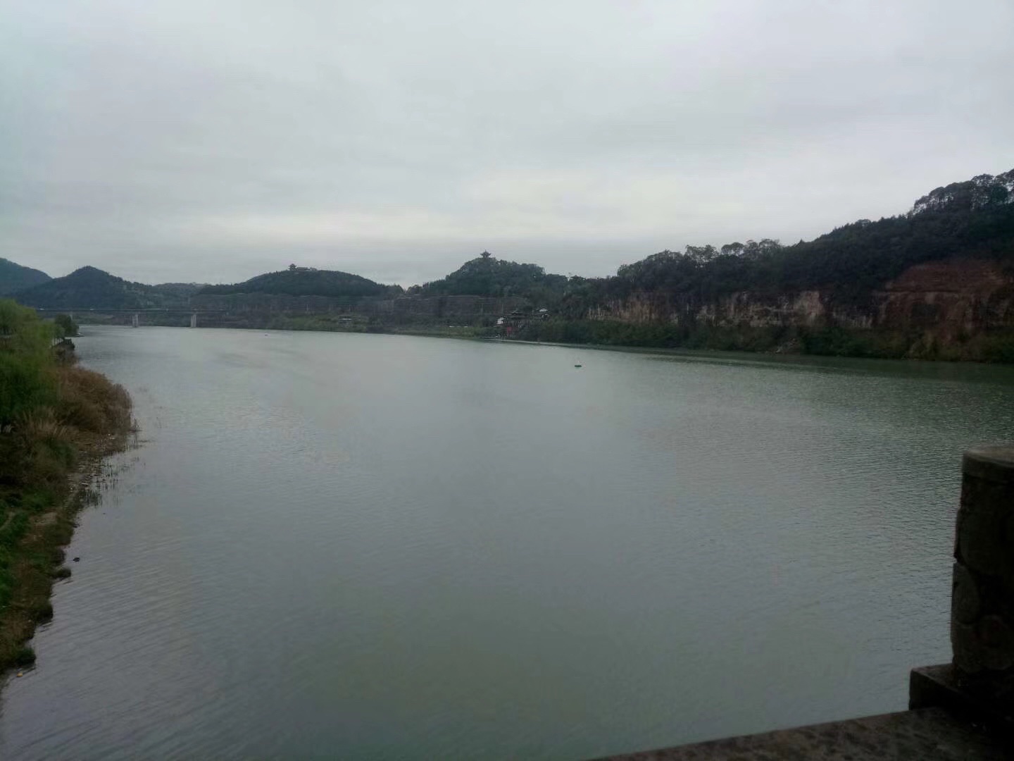 板辽金沙滩旅行图片 3
