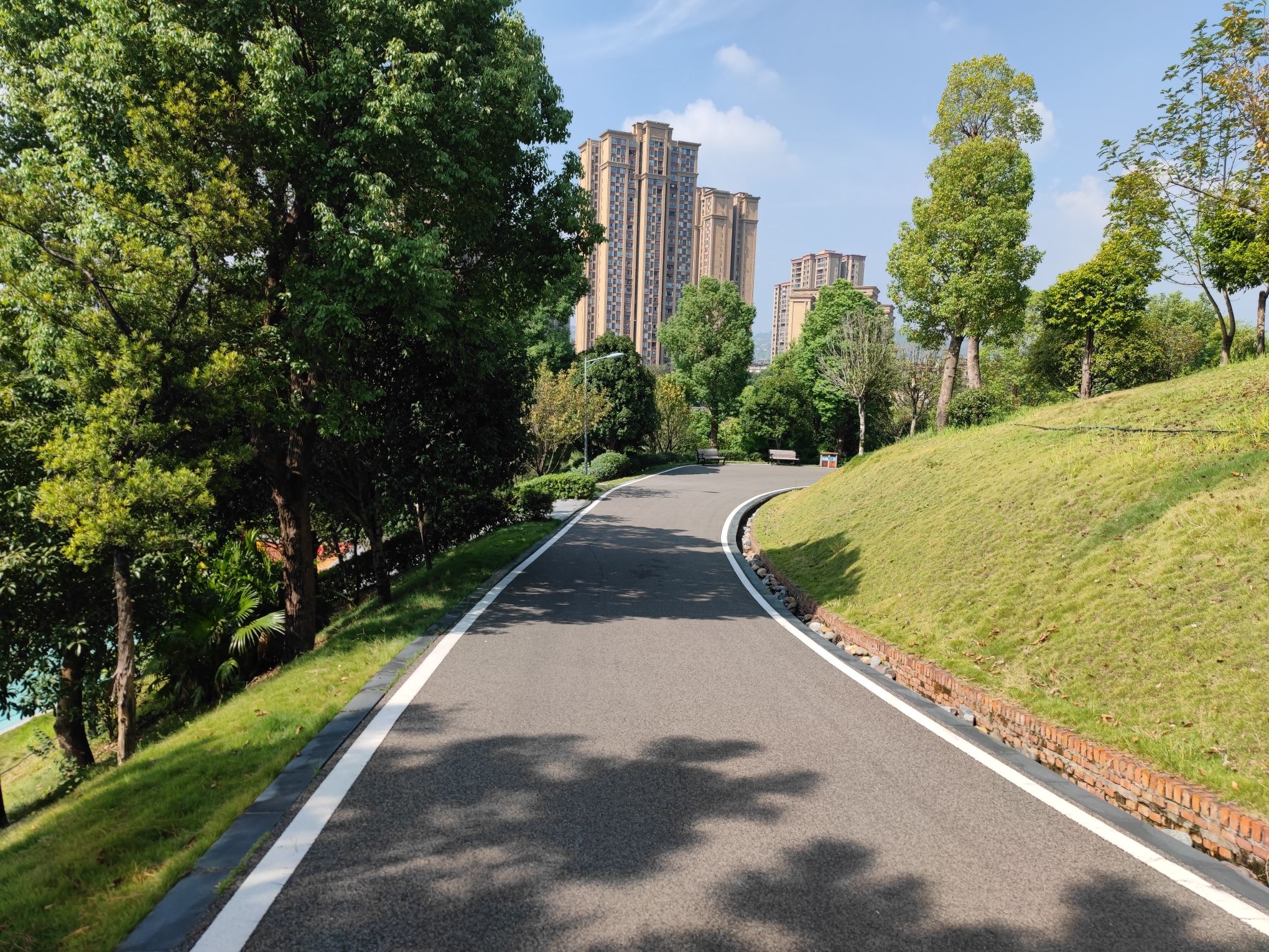 东岳体育公园旅行图片 3