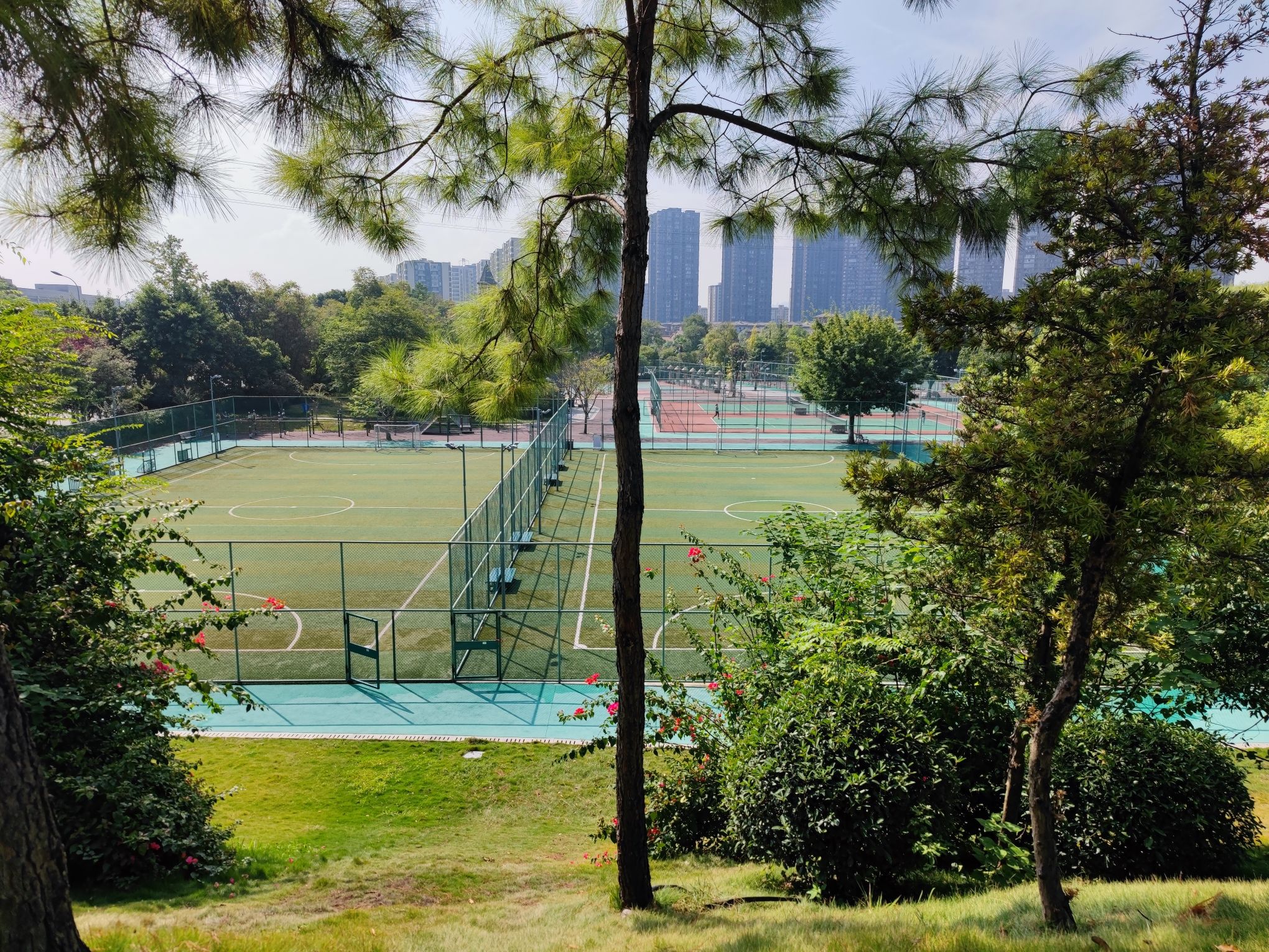 东岳体育公园旅行图片 2