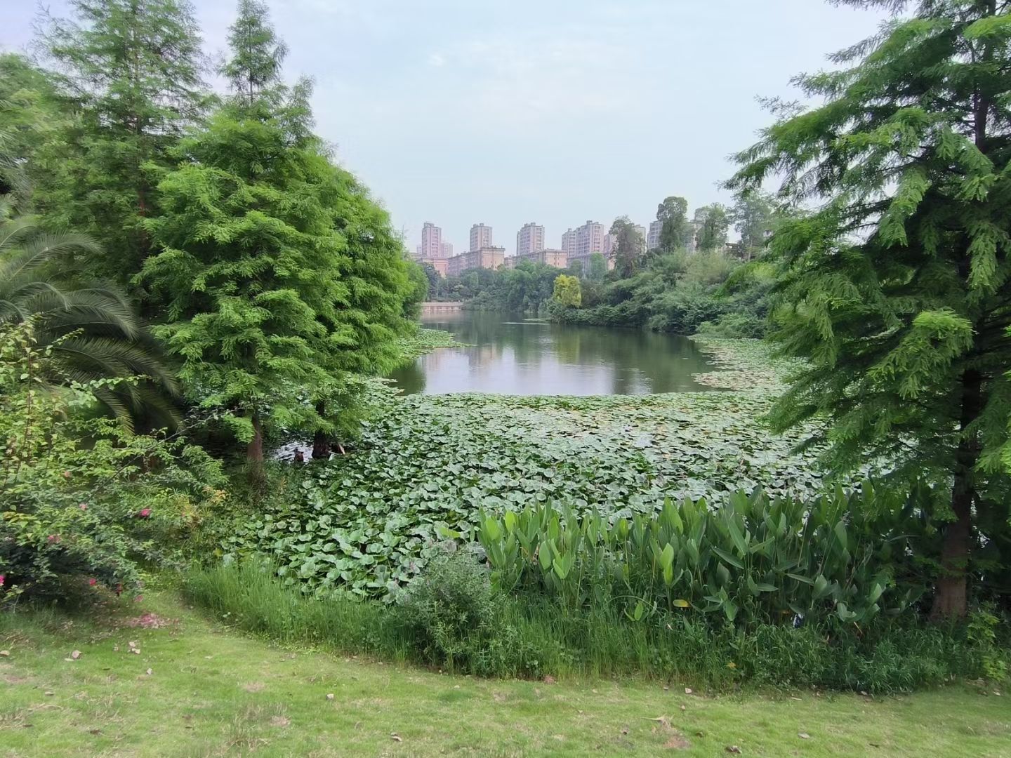 东岳体育公园旅行图片 3