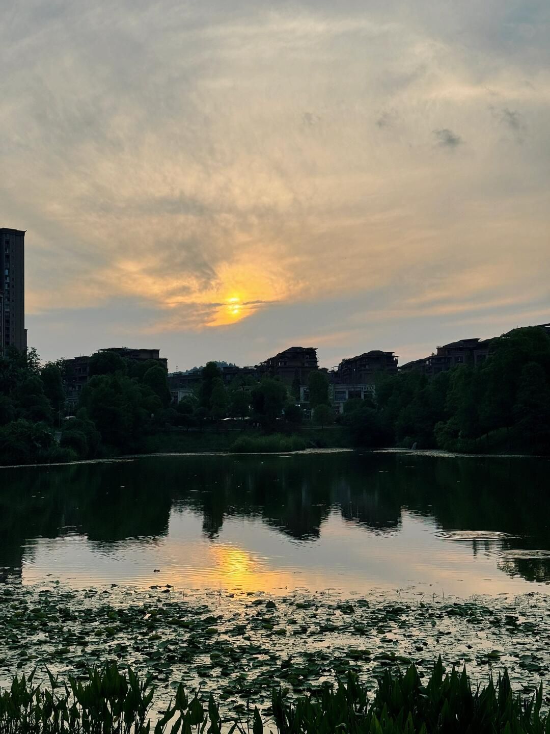 东岳体育公园旅行图片 2