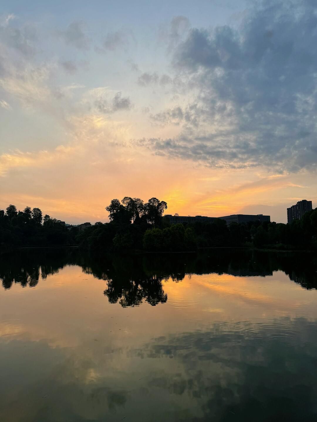 东岳体育公园旅行图片 1