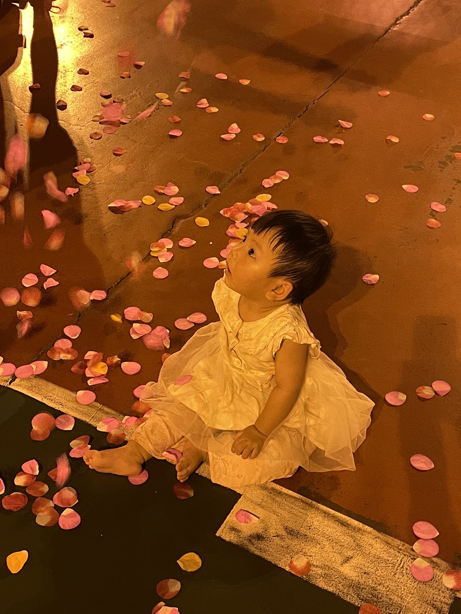 东岳体育公园旅行图片 1