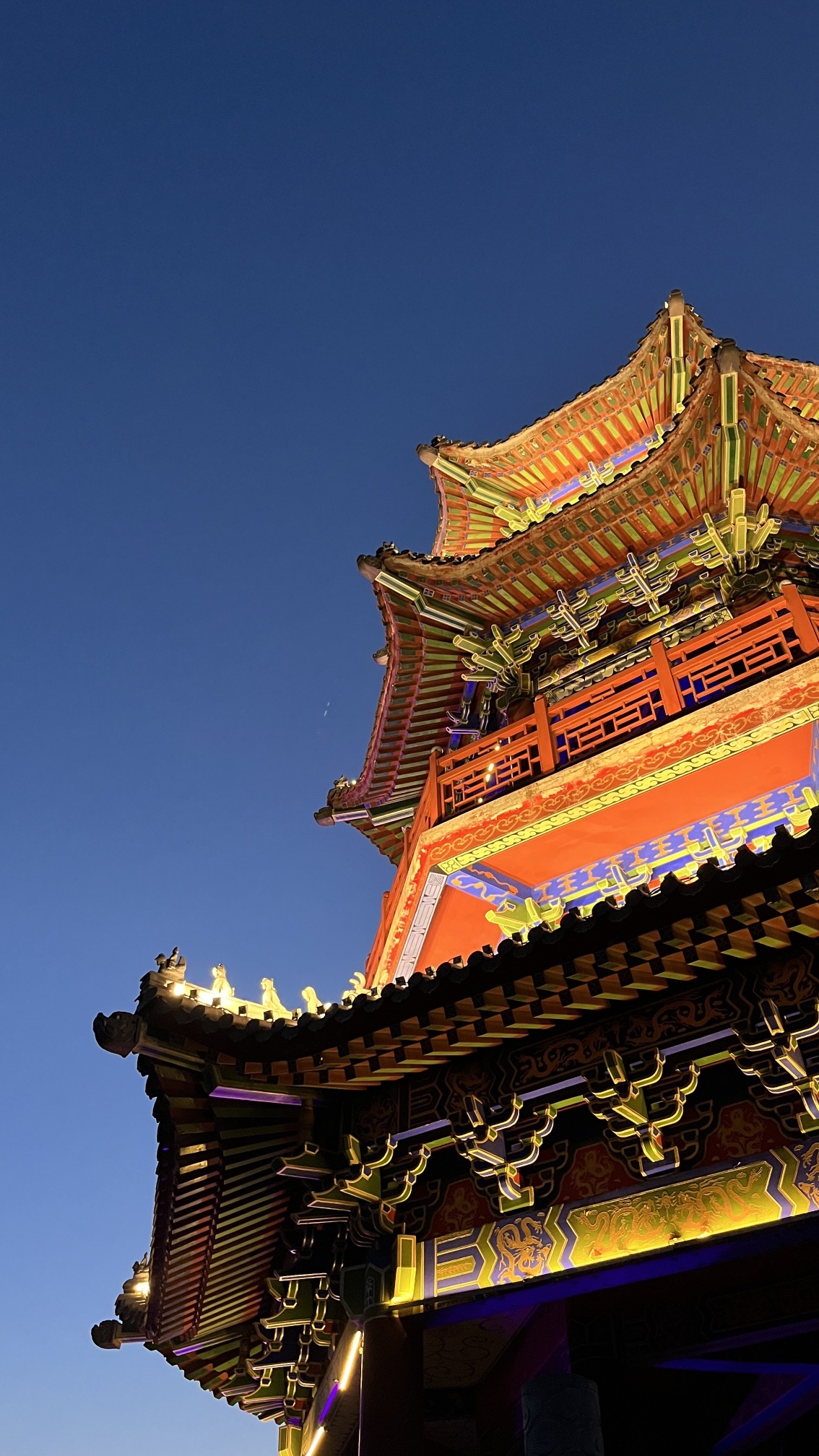 玉皇山森林公园旅行图片 2