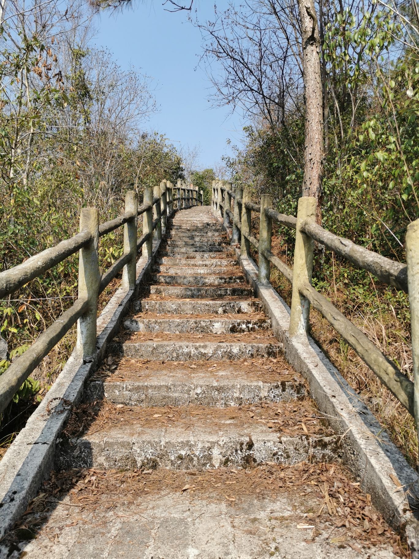 九龙景区旅行图片 1