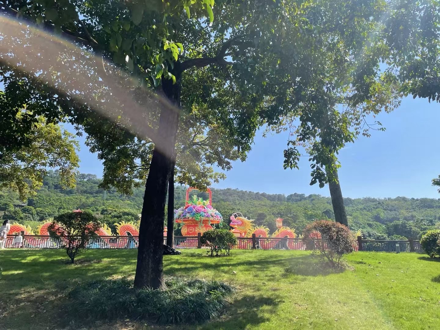 龟顶山森林公园旅行图片 1