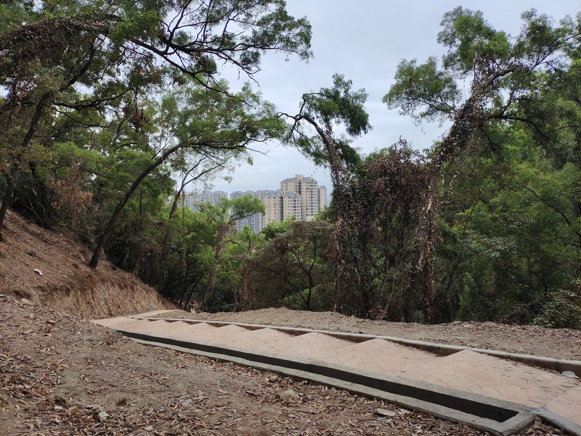 龟顶山森林公园旅行图片 1