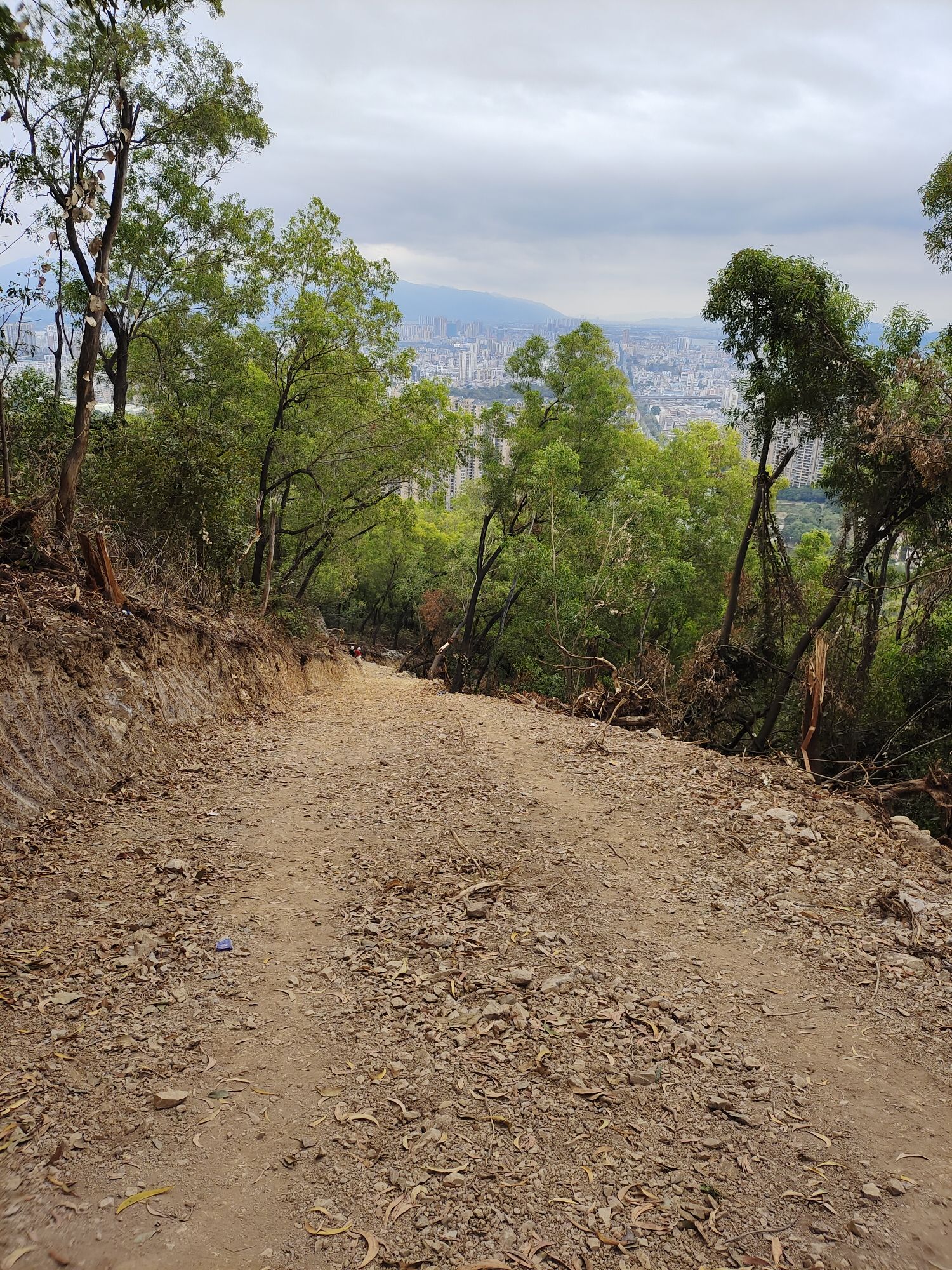 龟顶山森林公园旅行图片 3
