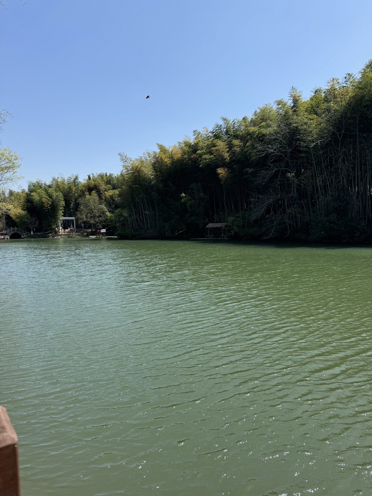 濮塘国家度假公园旅行图片 1