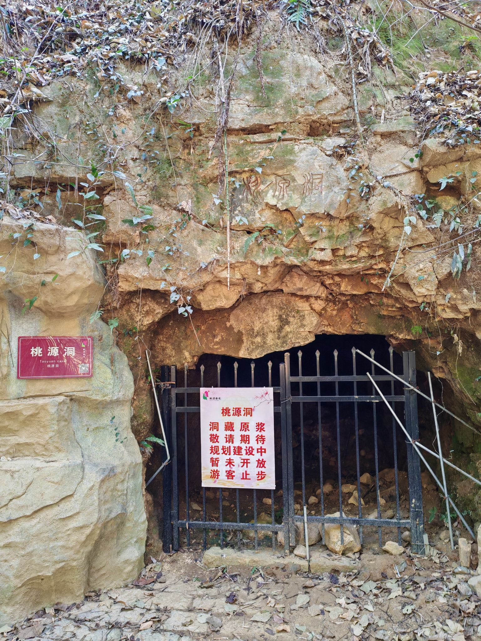 定南桃源乐境风景区旅行图片 3