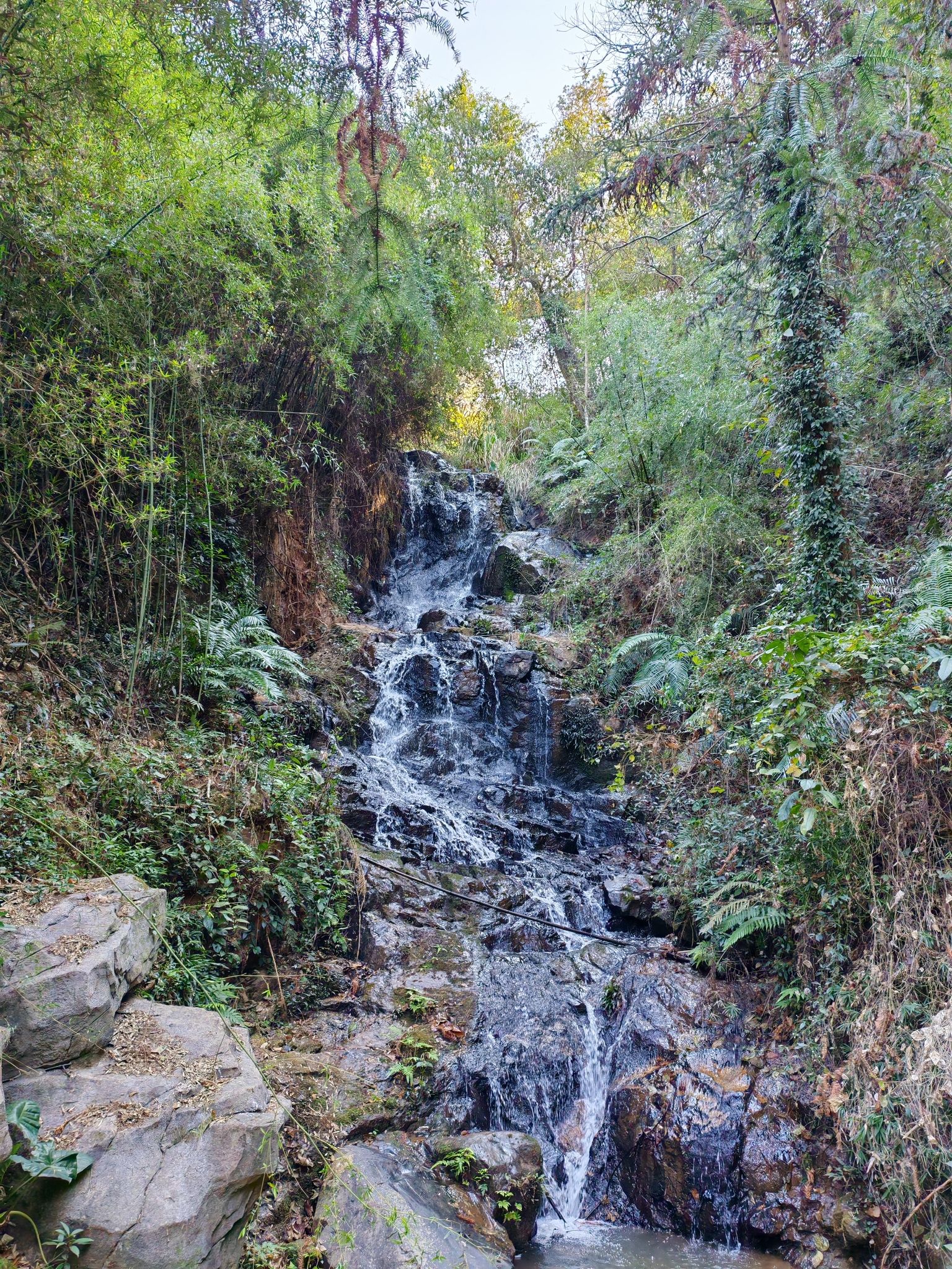 定南桃源乐境风景区旅行图片 1
